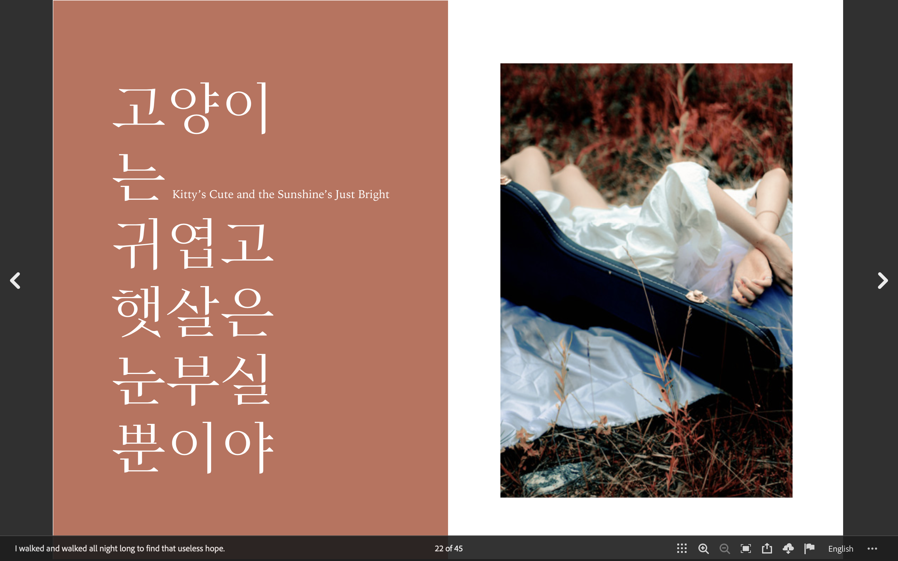 I walked and walked every night to find that useless hope