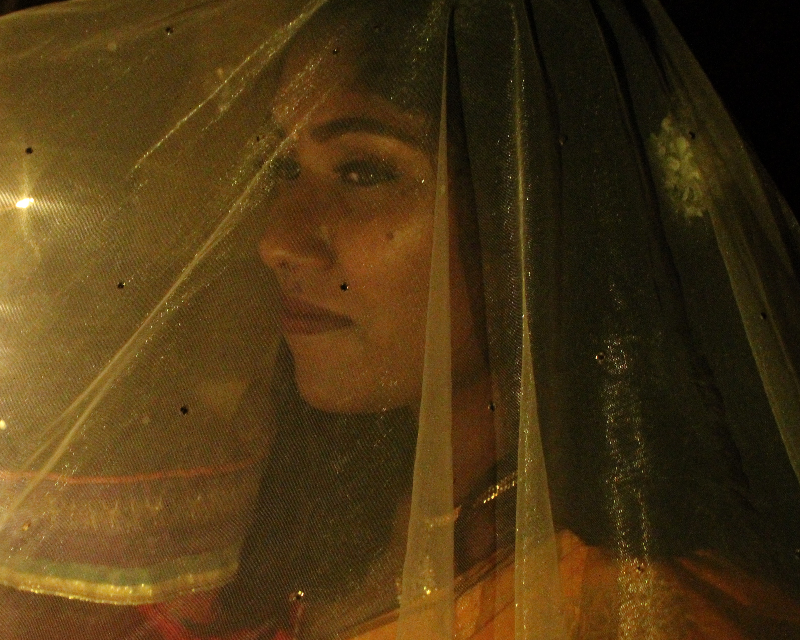 South Asian Representation