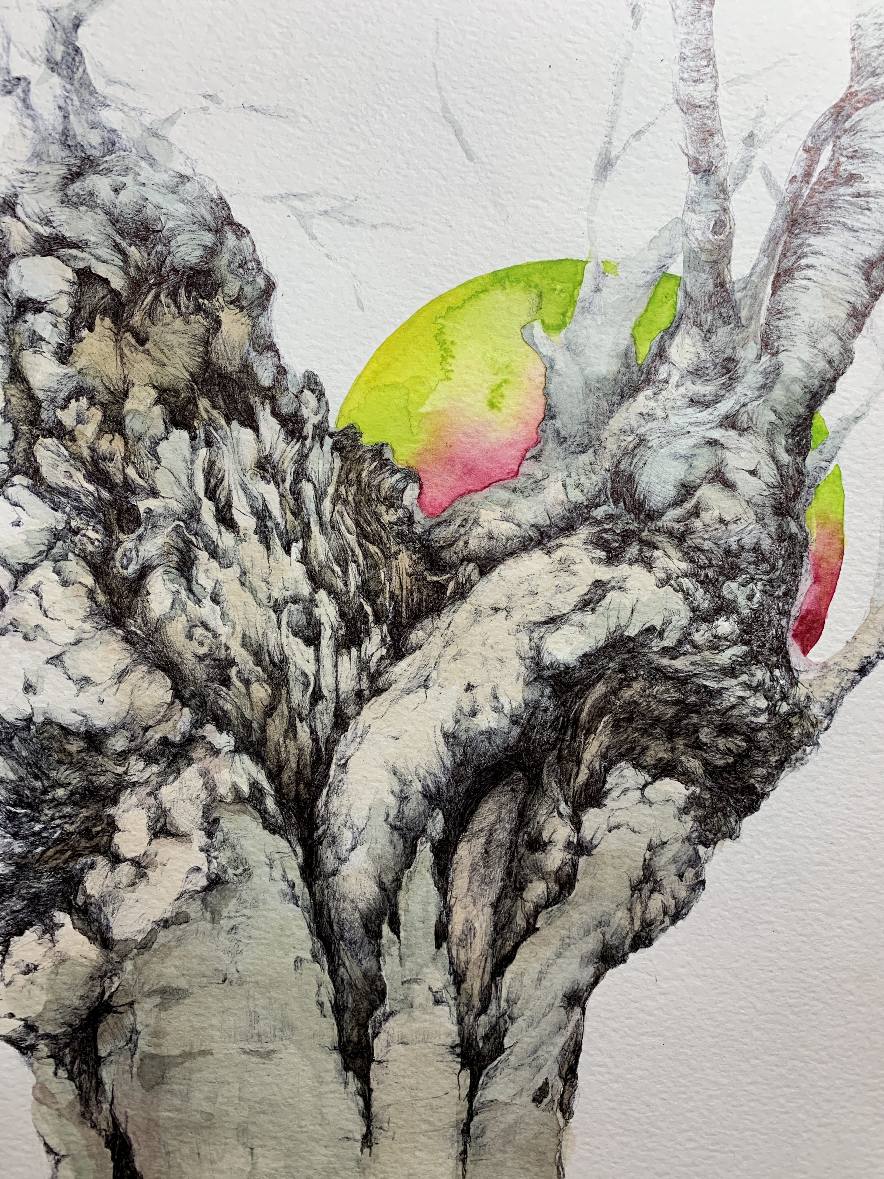 The Nature's Gesture I