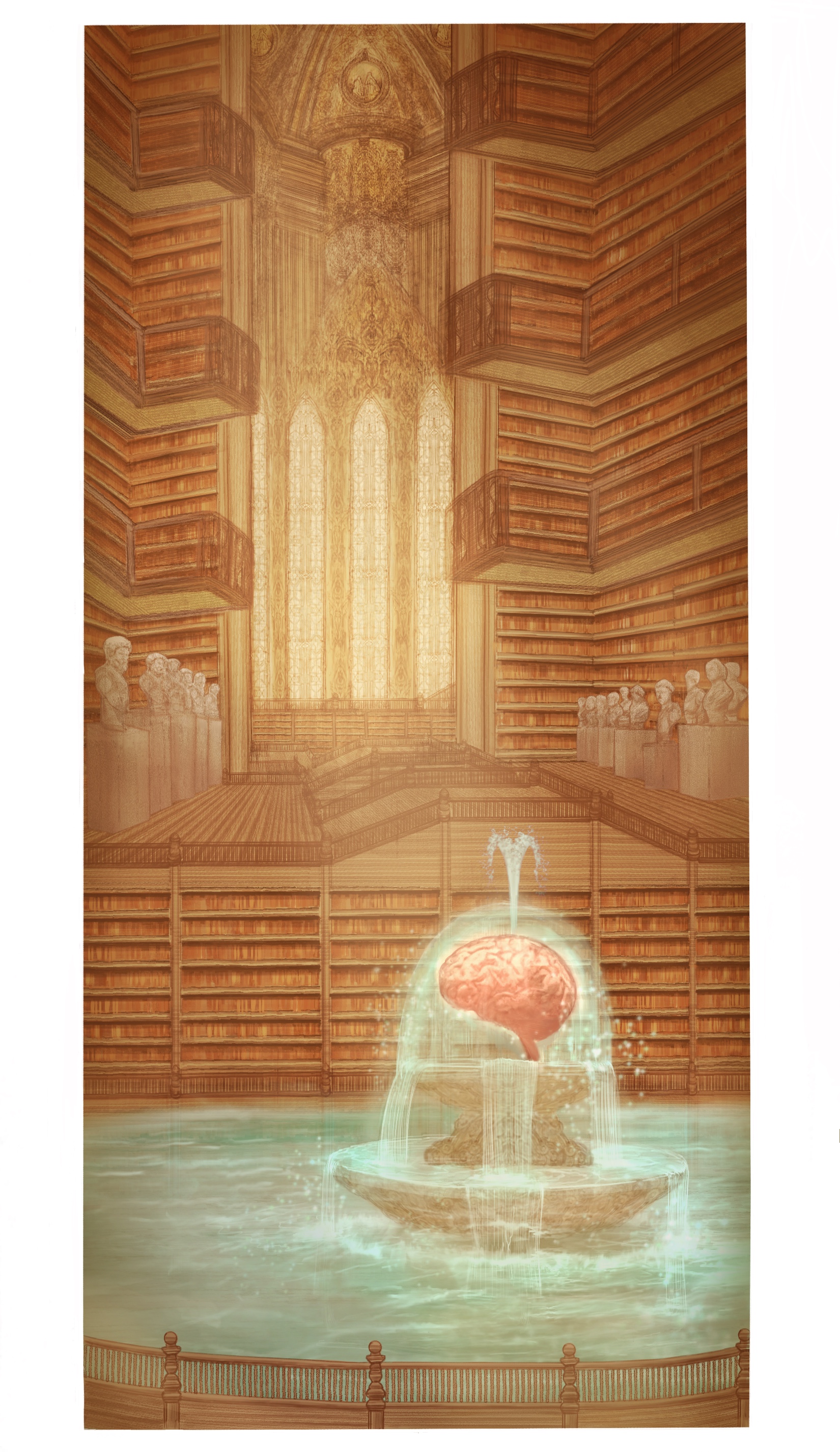 6 - The Cerebral Library