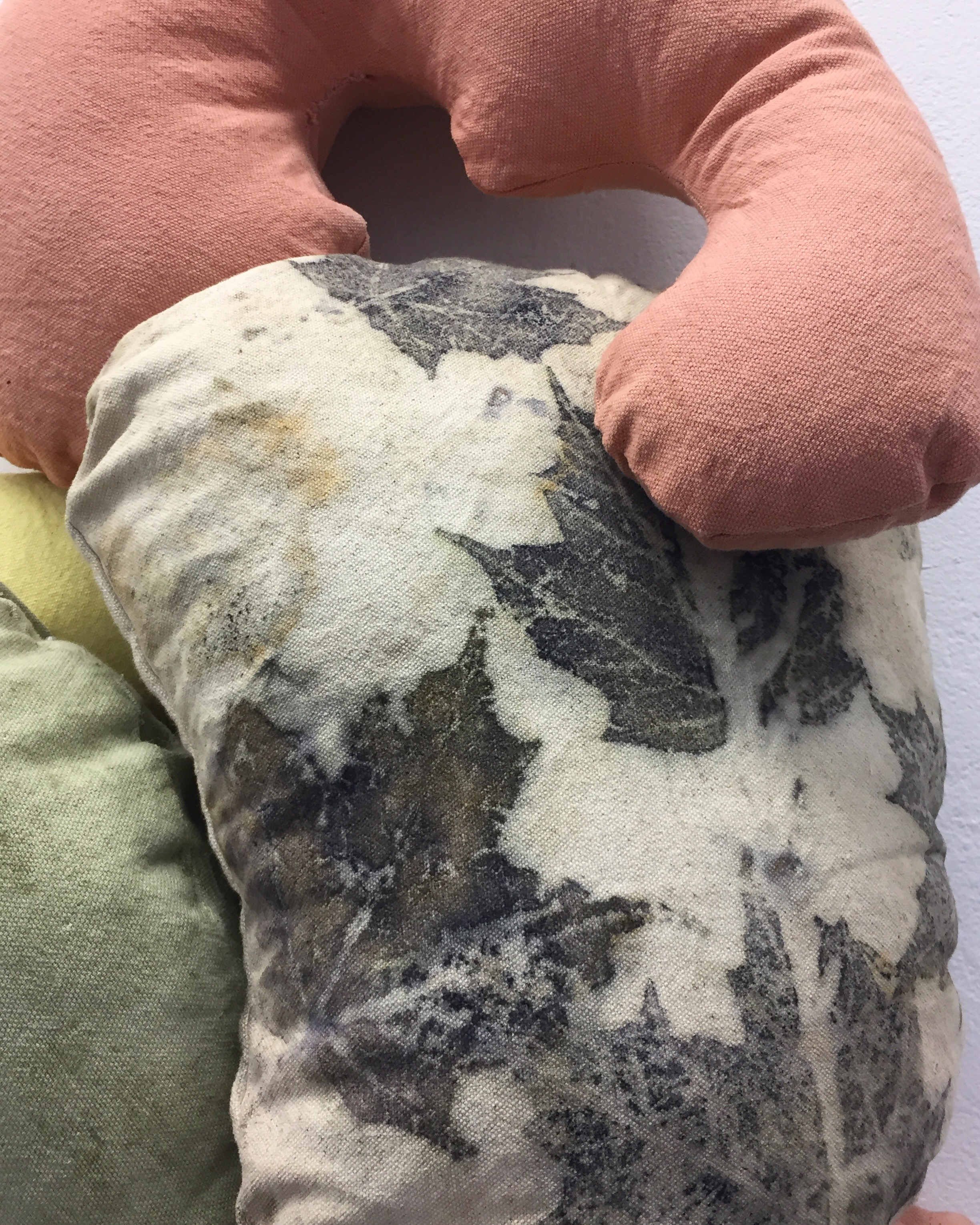 Untitled (Goldenrod, Sumac, Black-Eyed Susan, Apple Bark)