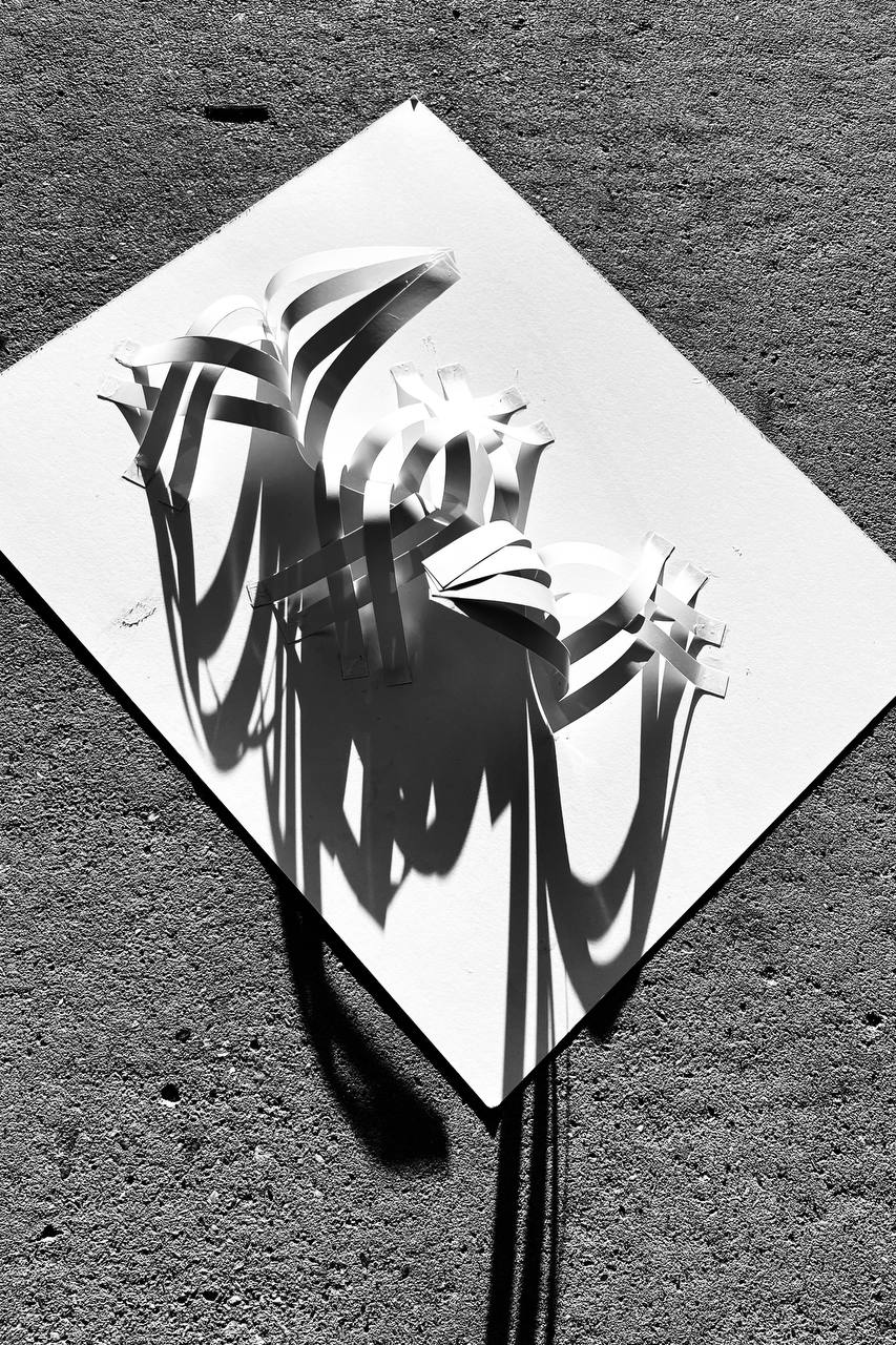 FORM AND SHADOW; COLOR AND LIGHT