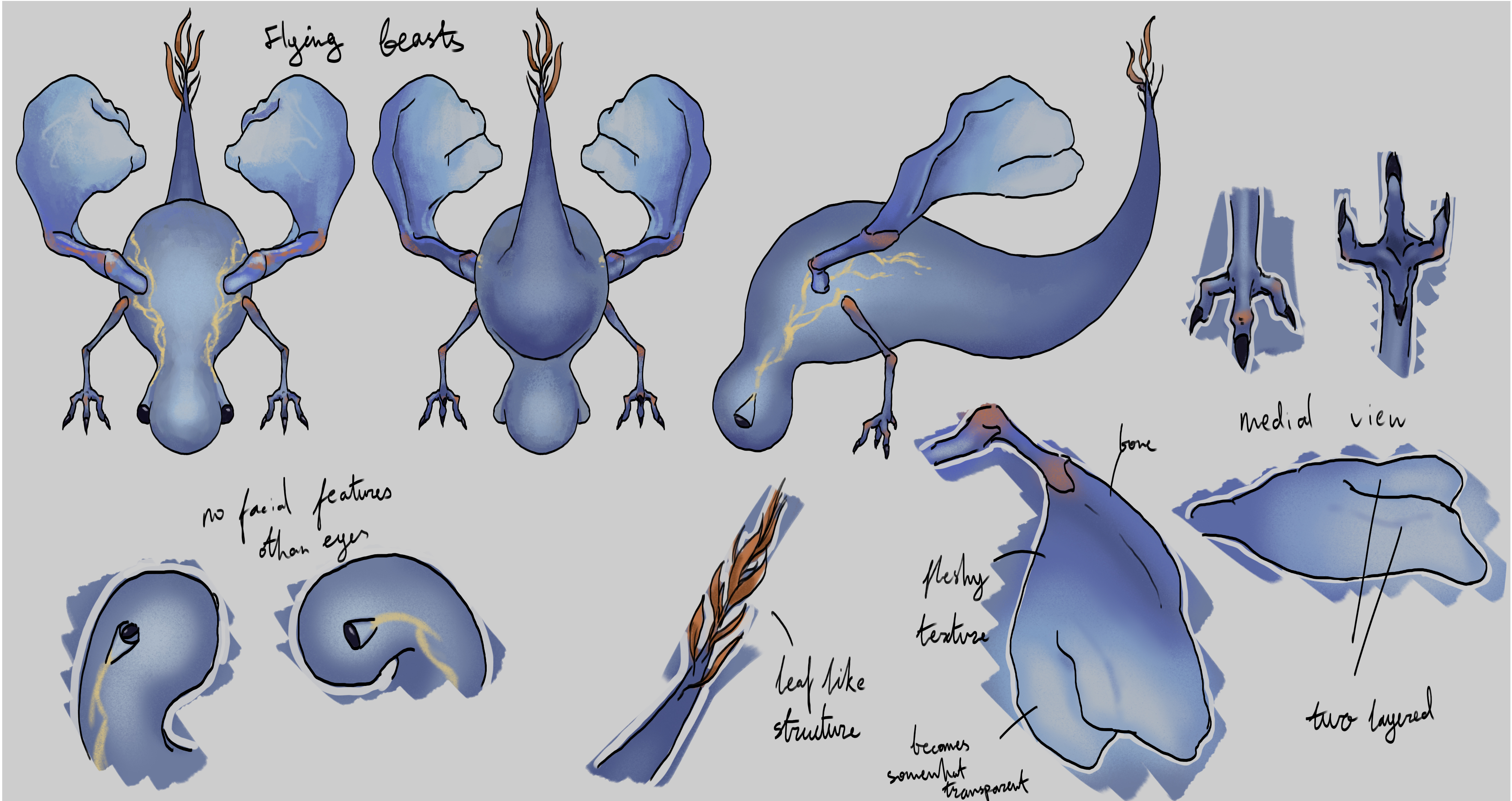 Creature Design