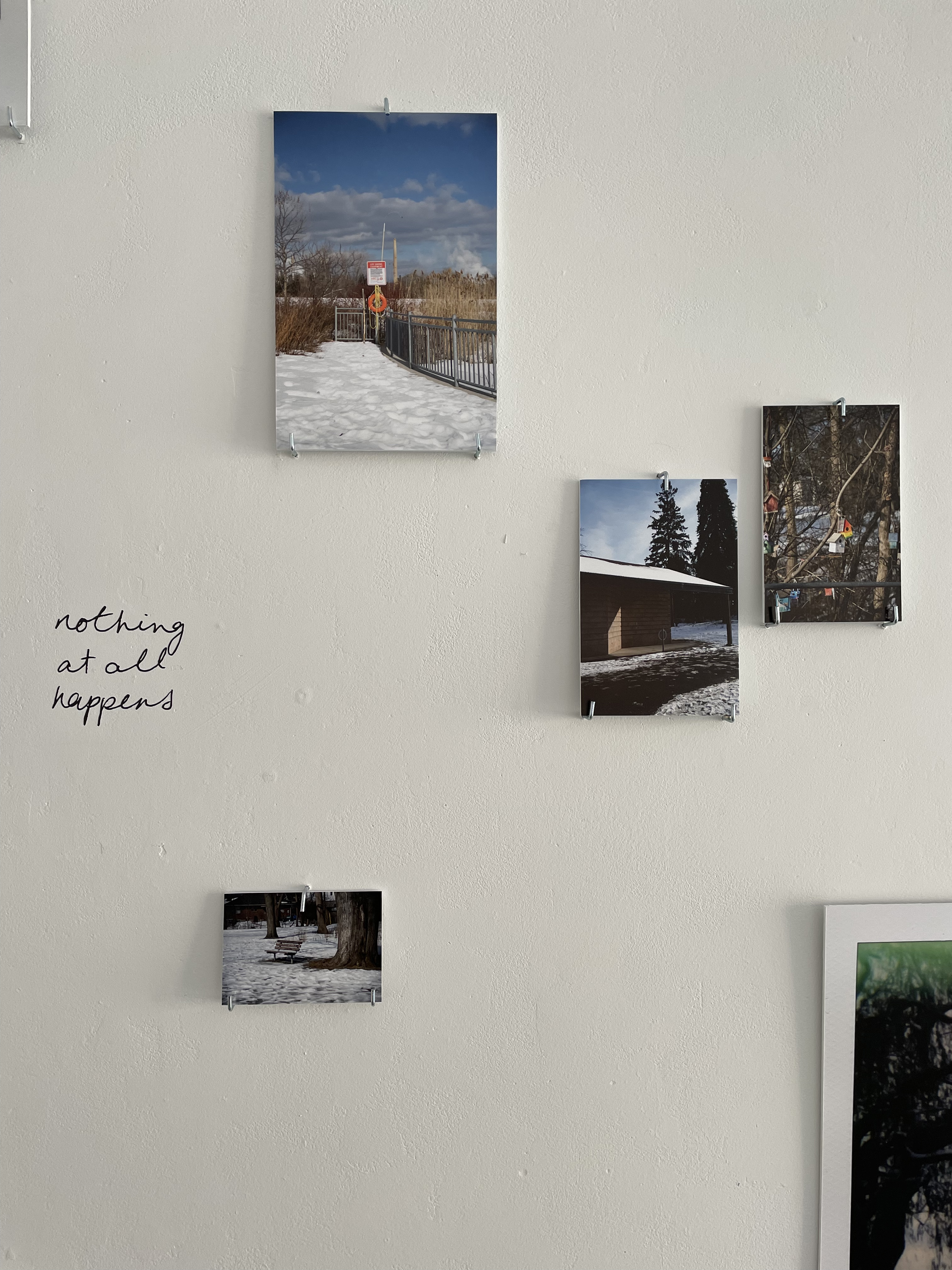 Where We Used to Walk - Installation