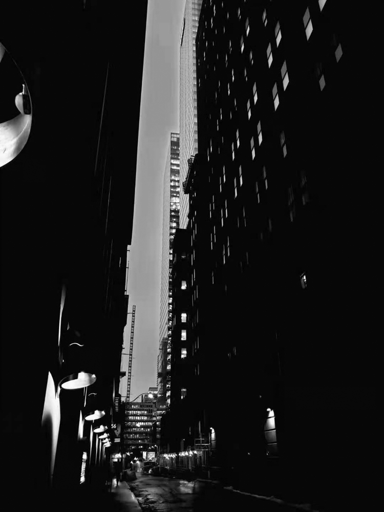 Live in Steel Forest