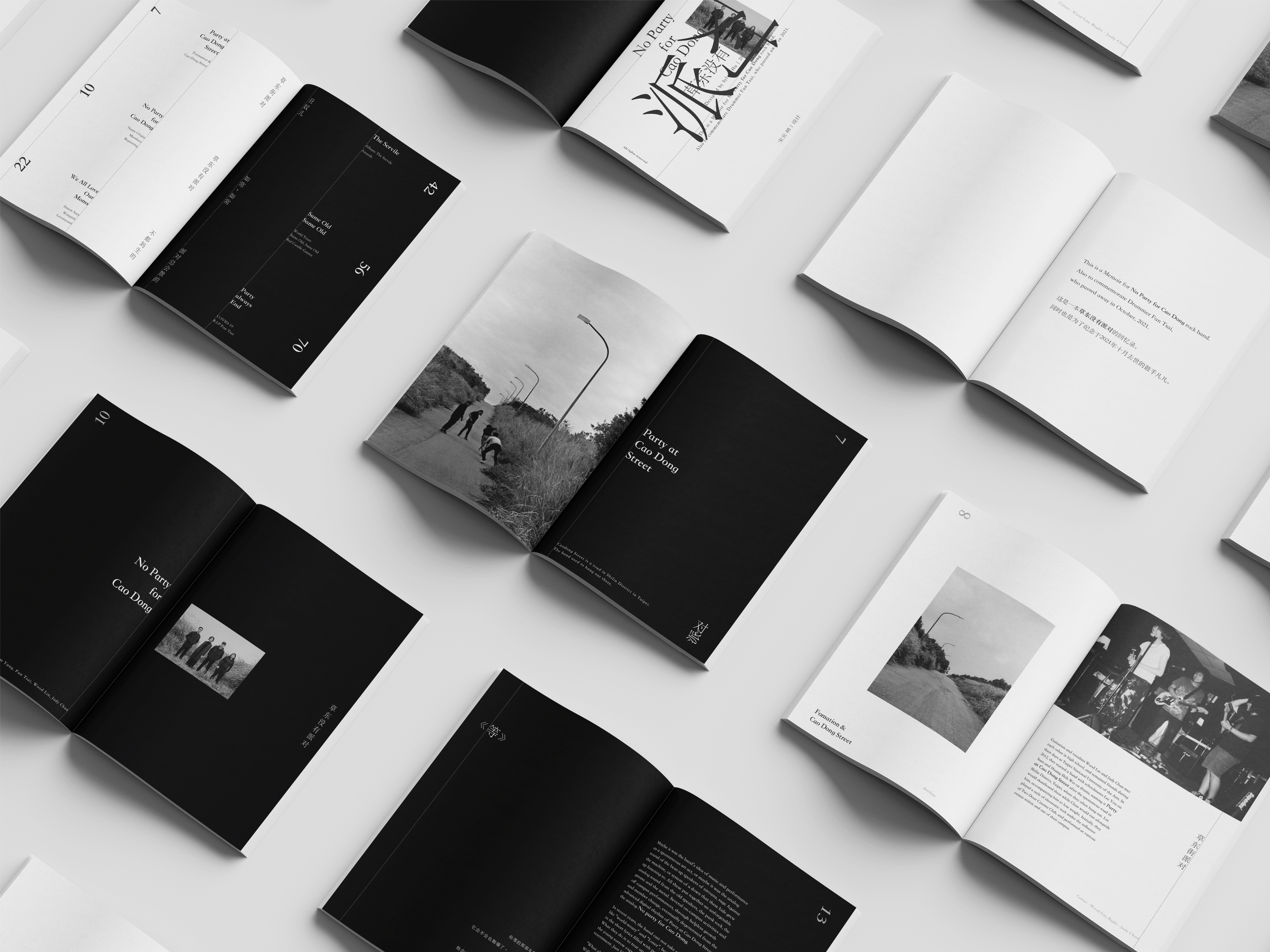 No Party for Cao Dong Memoir