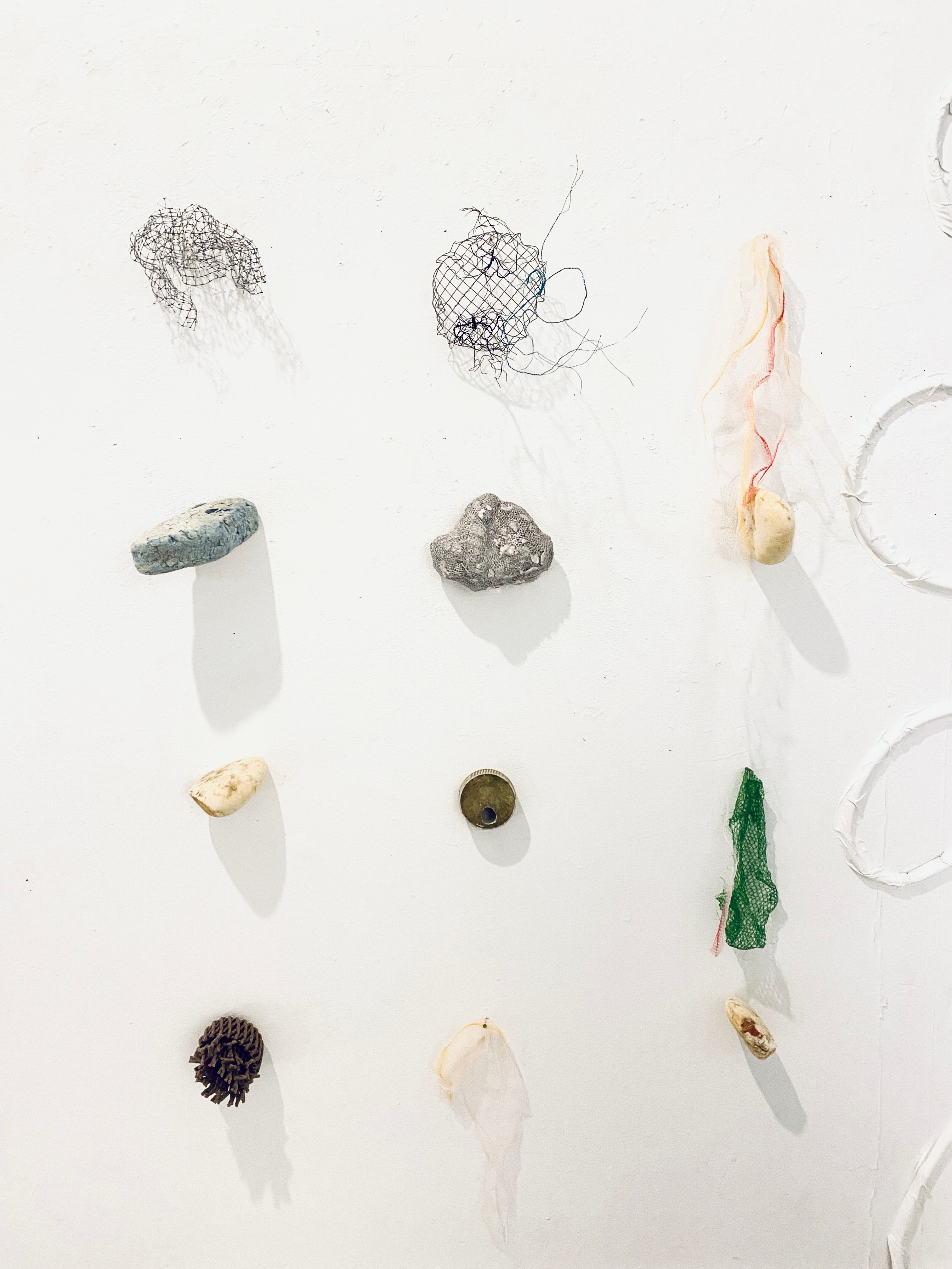 Bryozoans, Sponges, and Found Objects, photo by Julius Poncelet Manapul