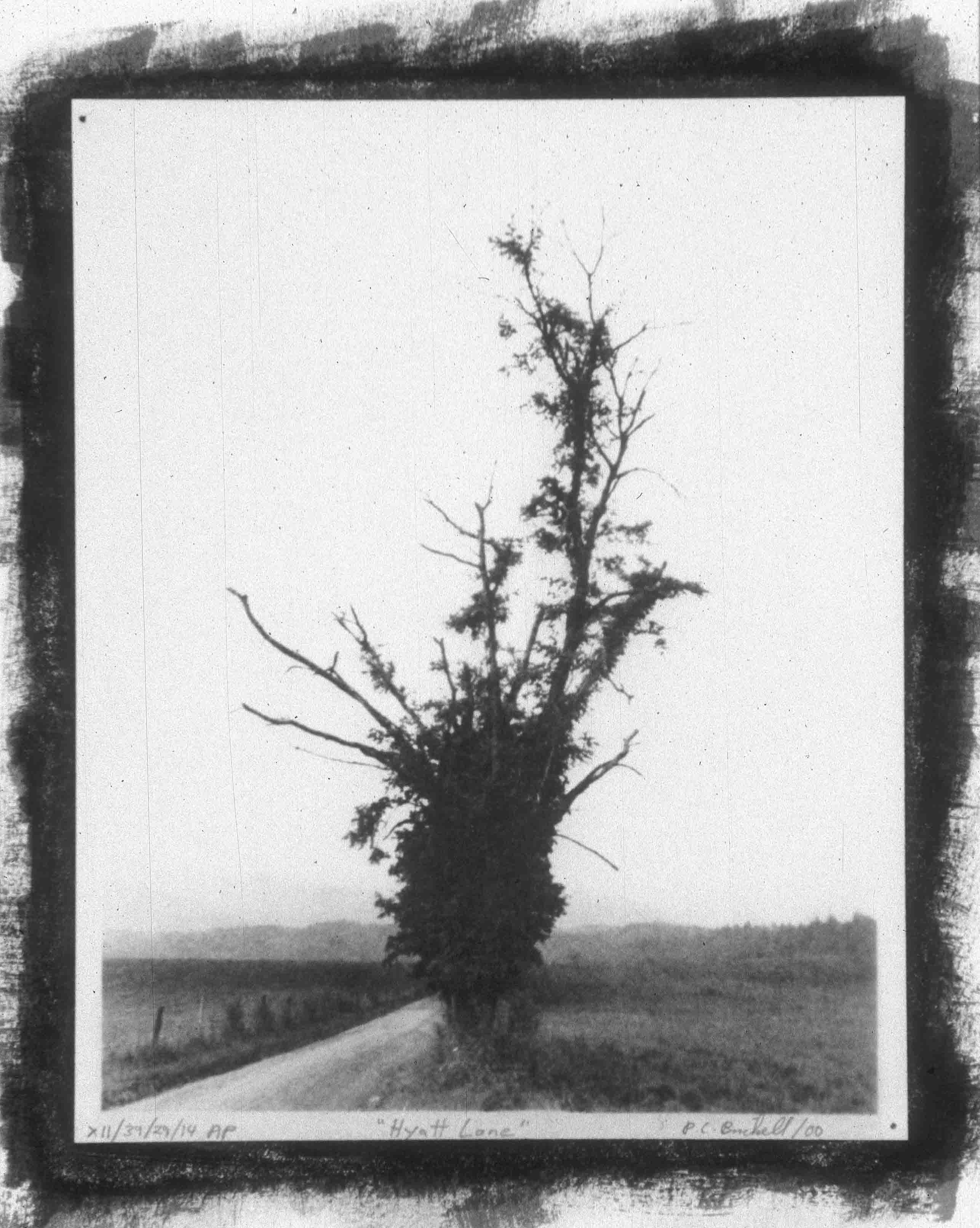 Hyatt Lane