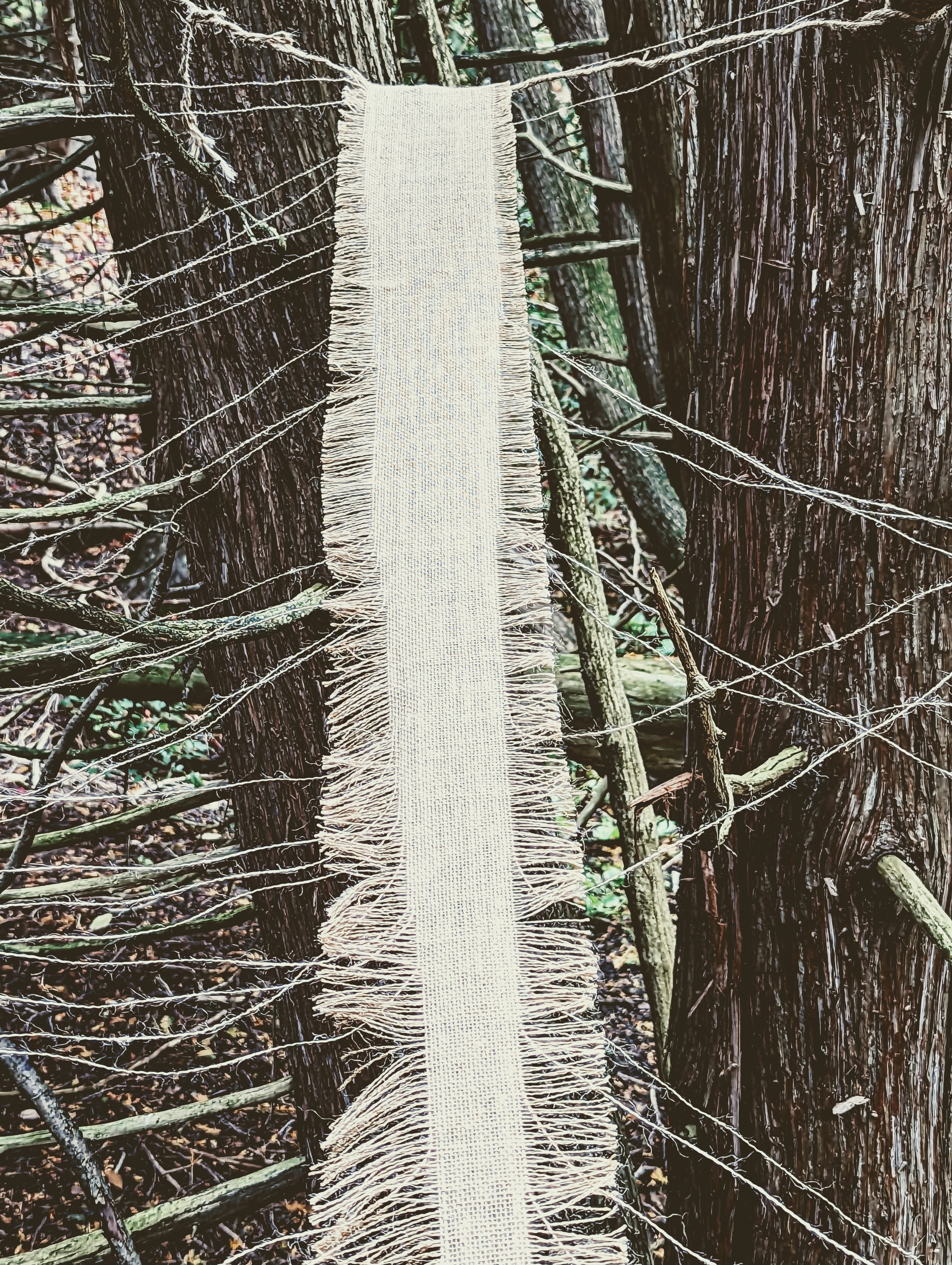 Pulling at the Threads of History