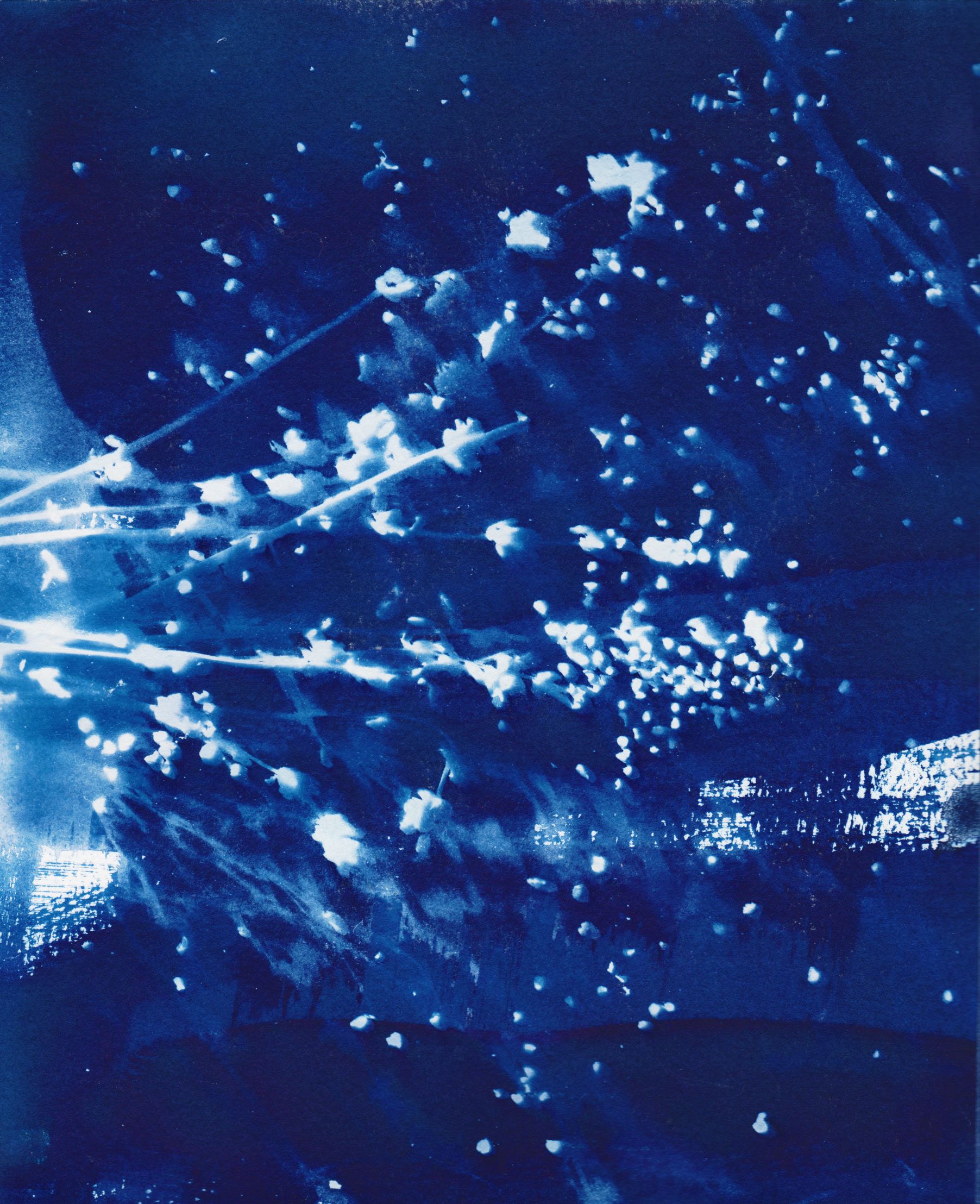 Cyanotype