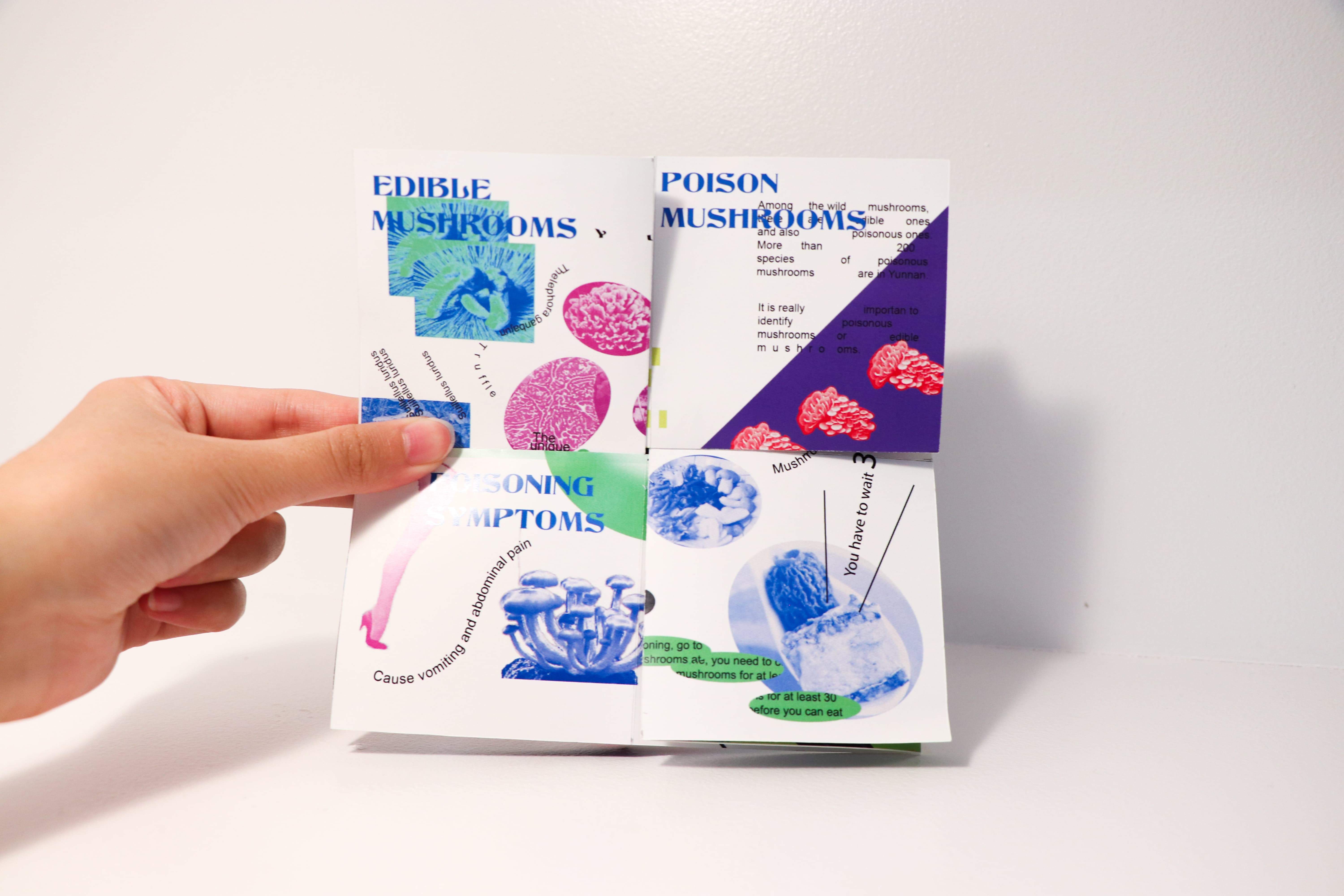 Yunnan Four Oddities