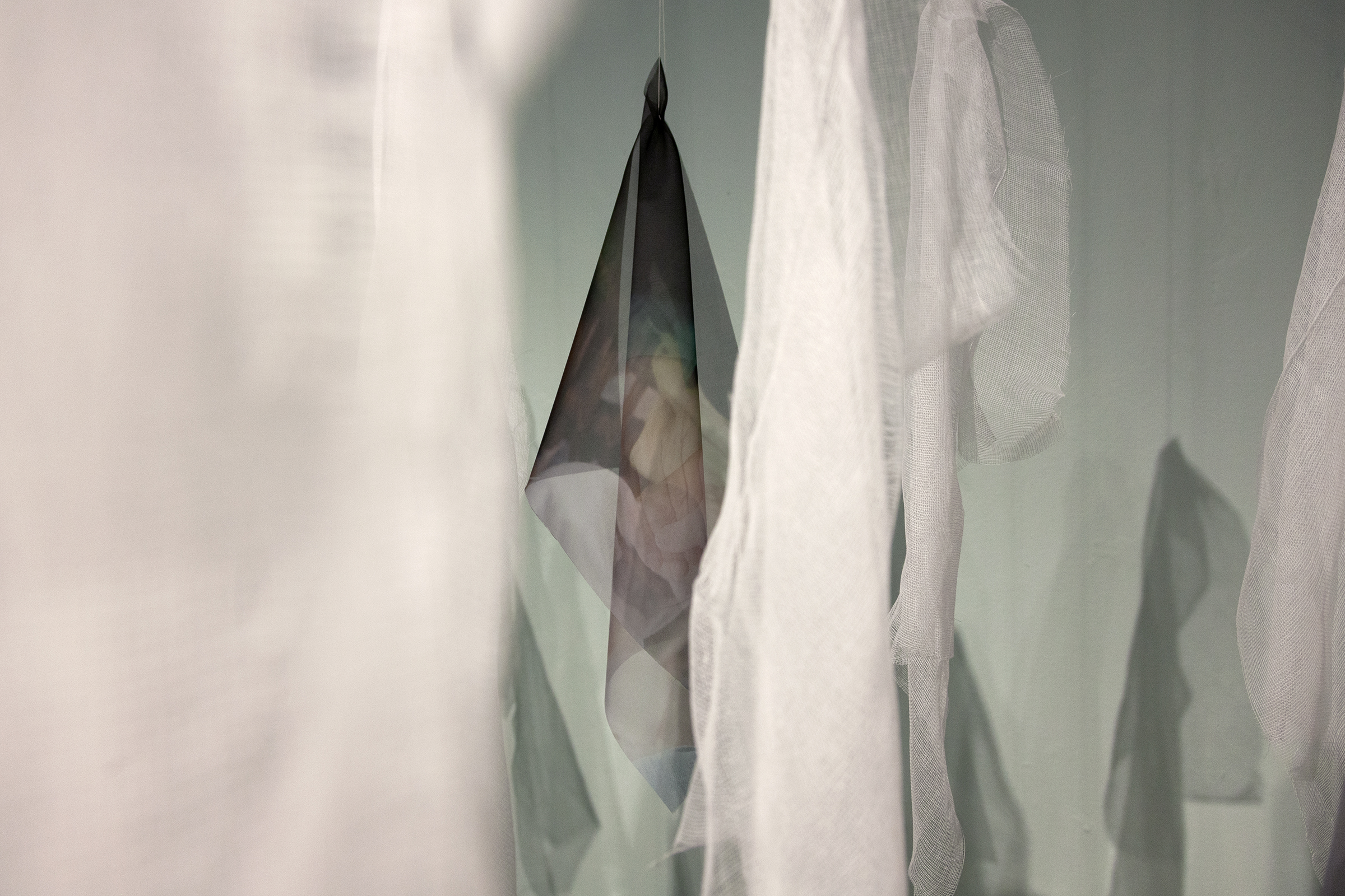 Hands that gather and forget