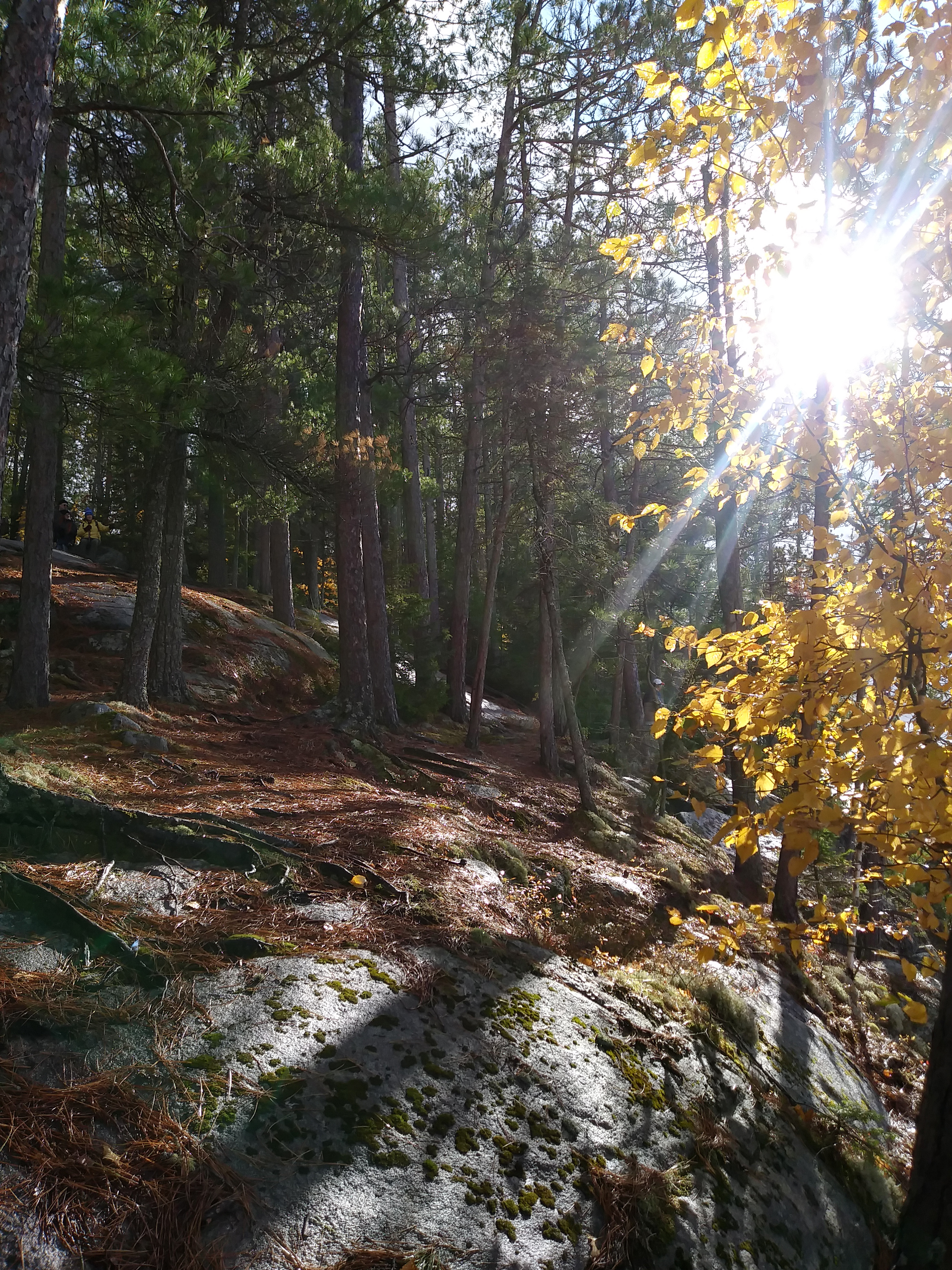 Photography Collection