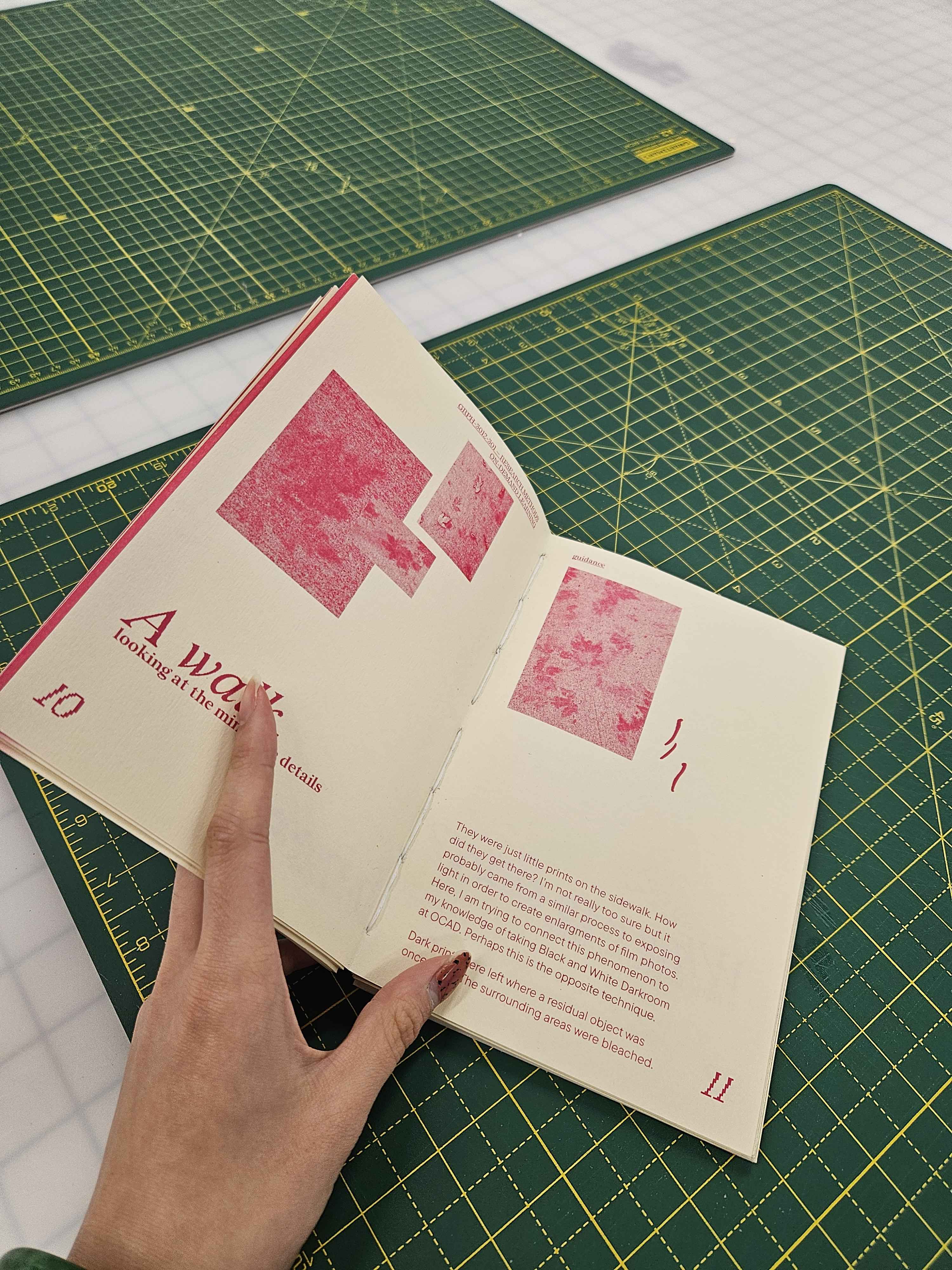 Anthotypes: The Process Growing Little Prints at Home