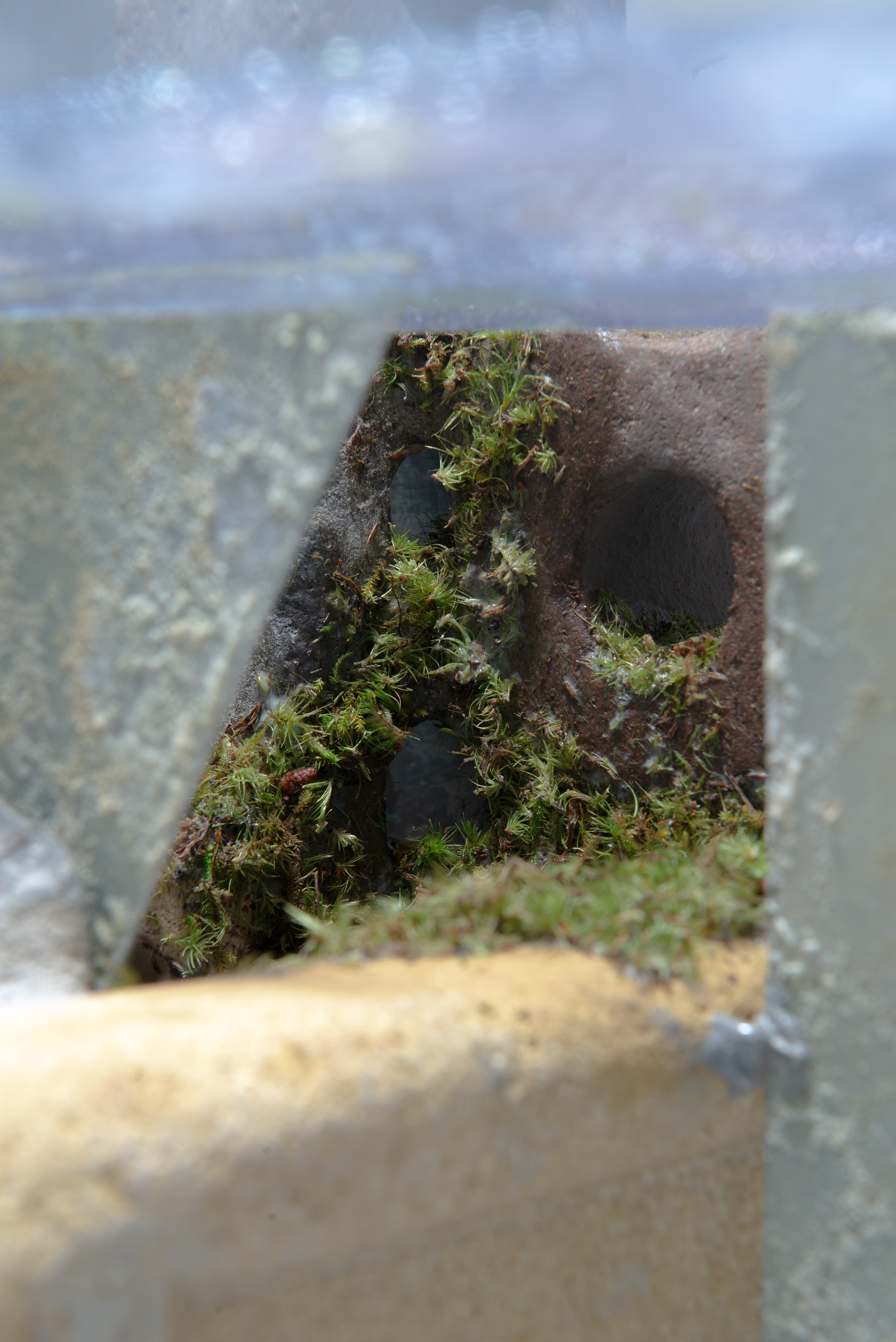 Material Decay: The Impermanence of Man