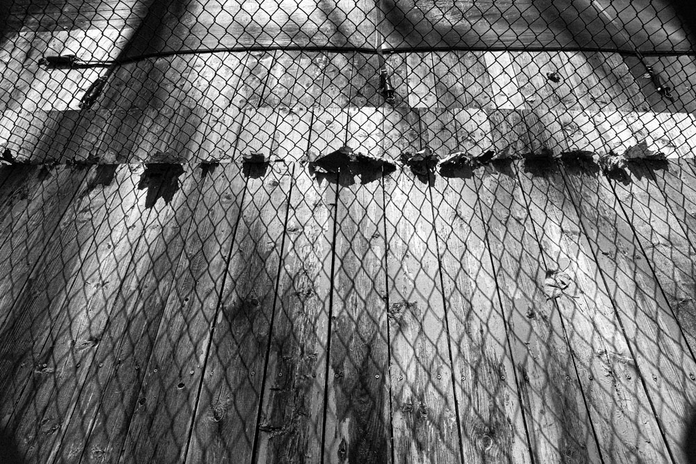 ▐  Light & Shadow ▐