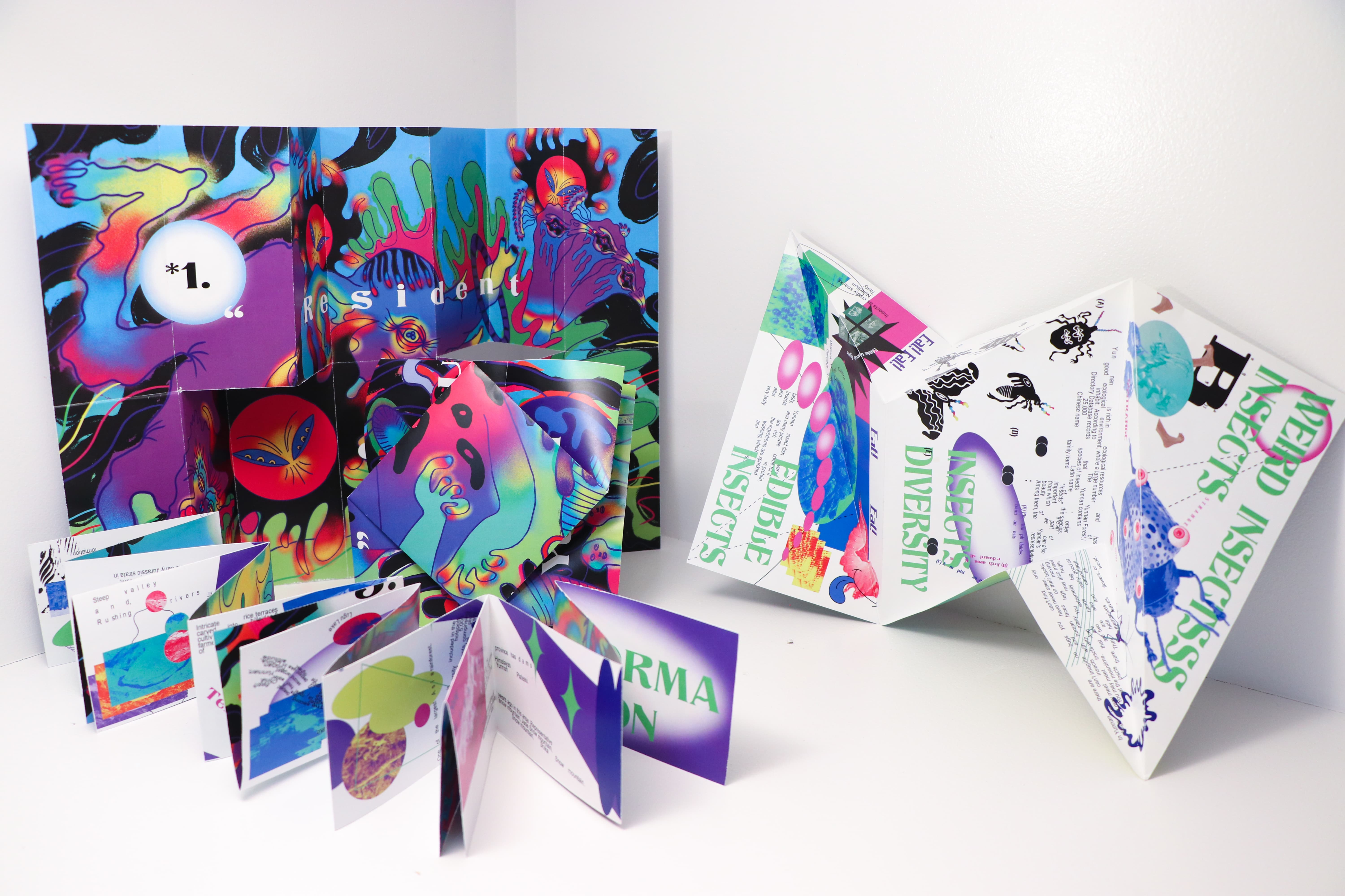 Yunnan Four Oddities