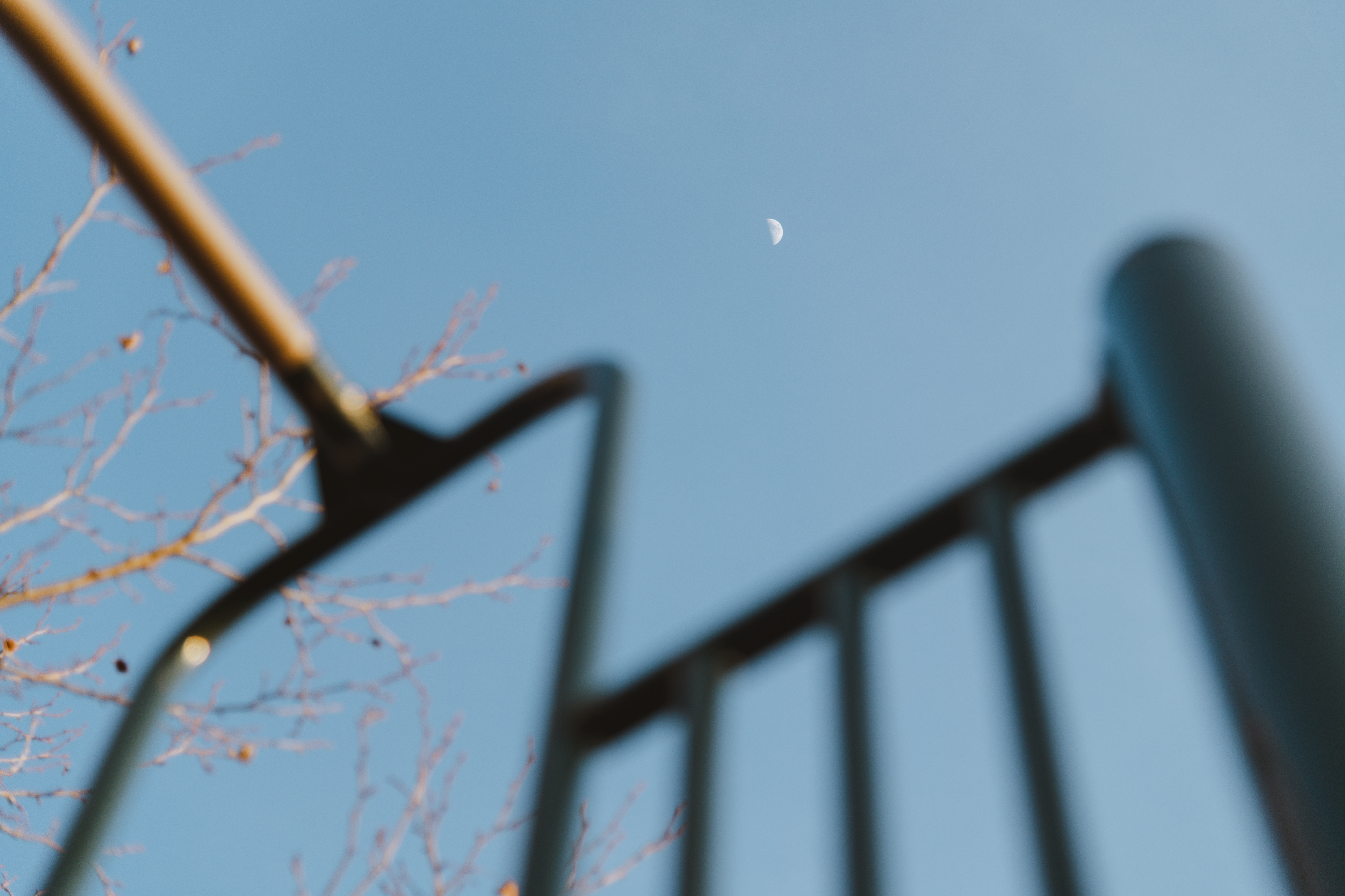 The Moon and Sixpence