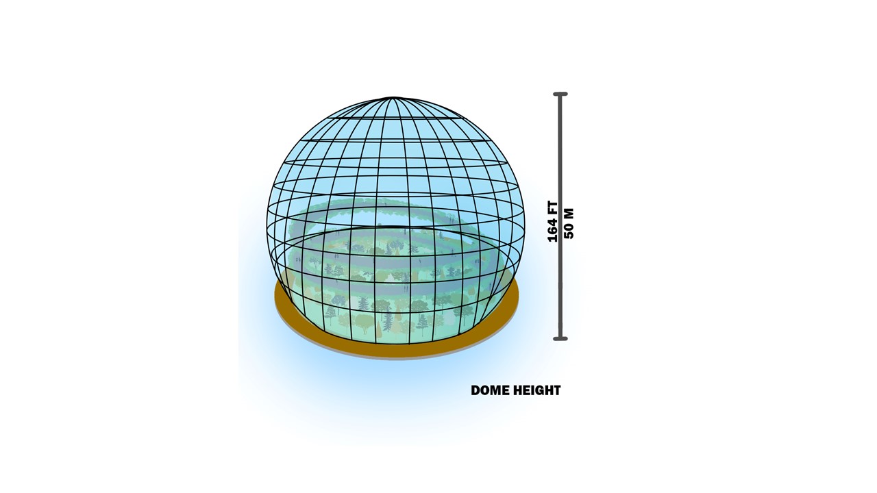 Toronto's Floating Gardens