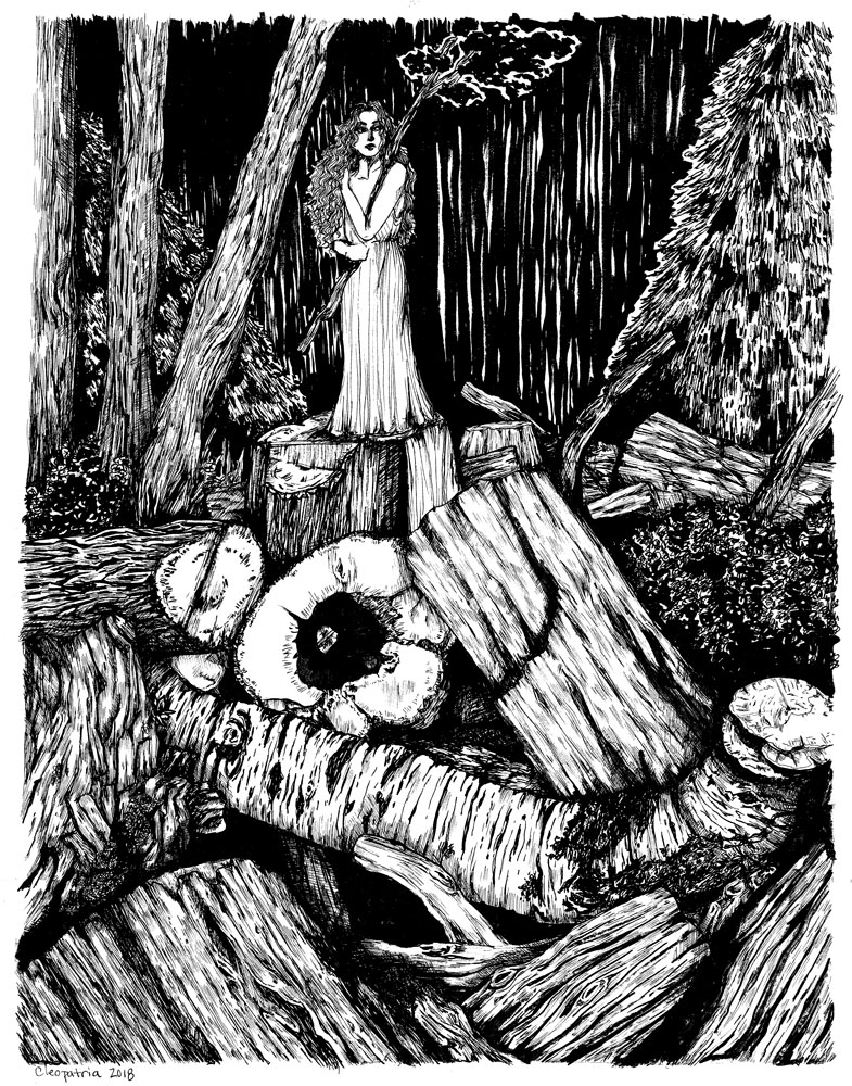 Pen & Ink Collection