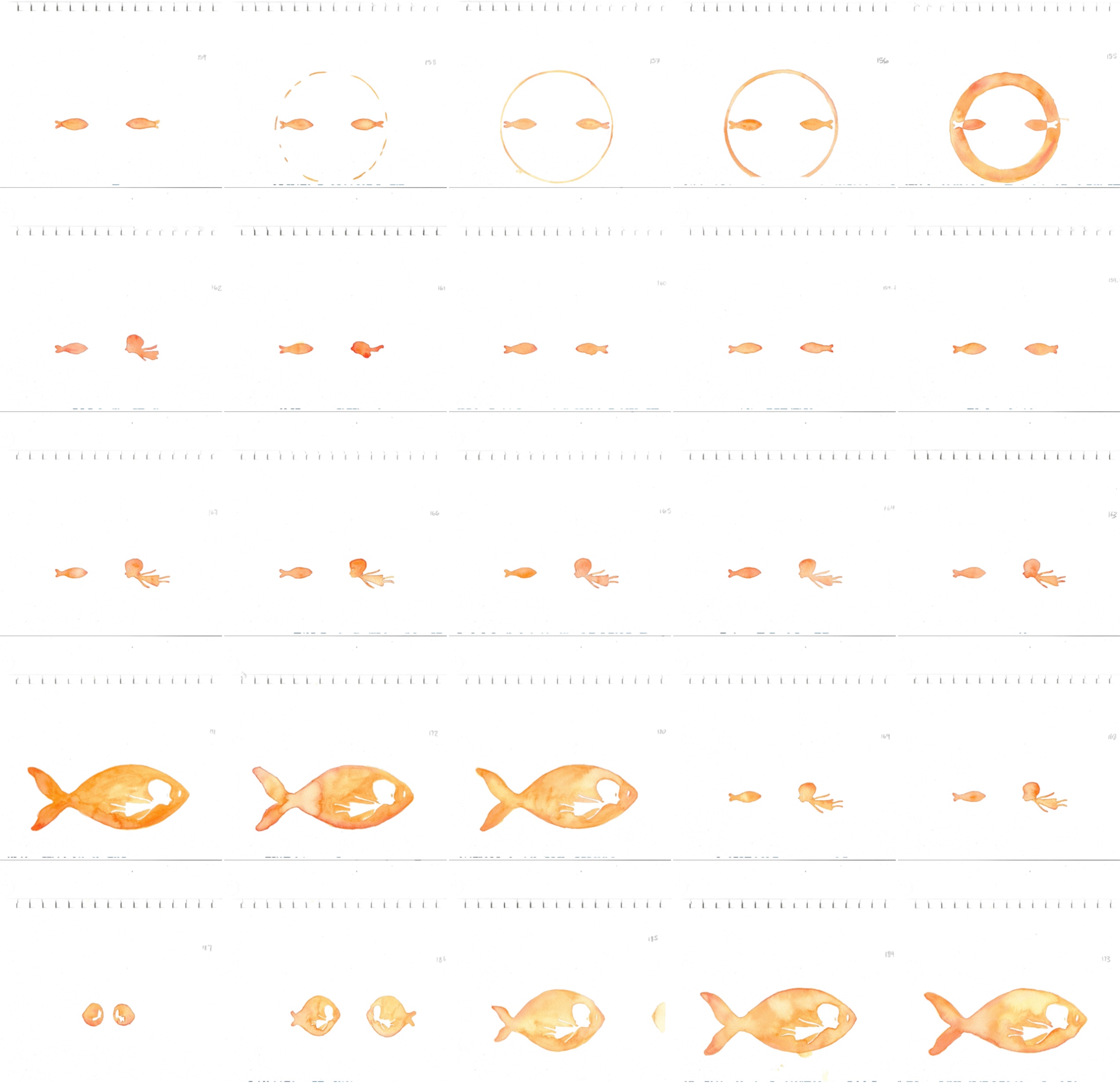 Behind The Scenes - Freshwater