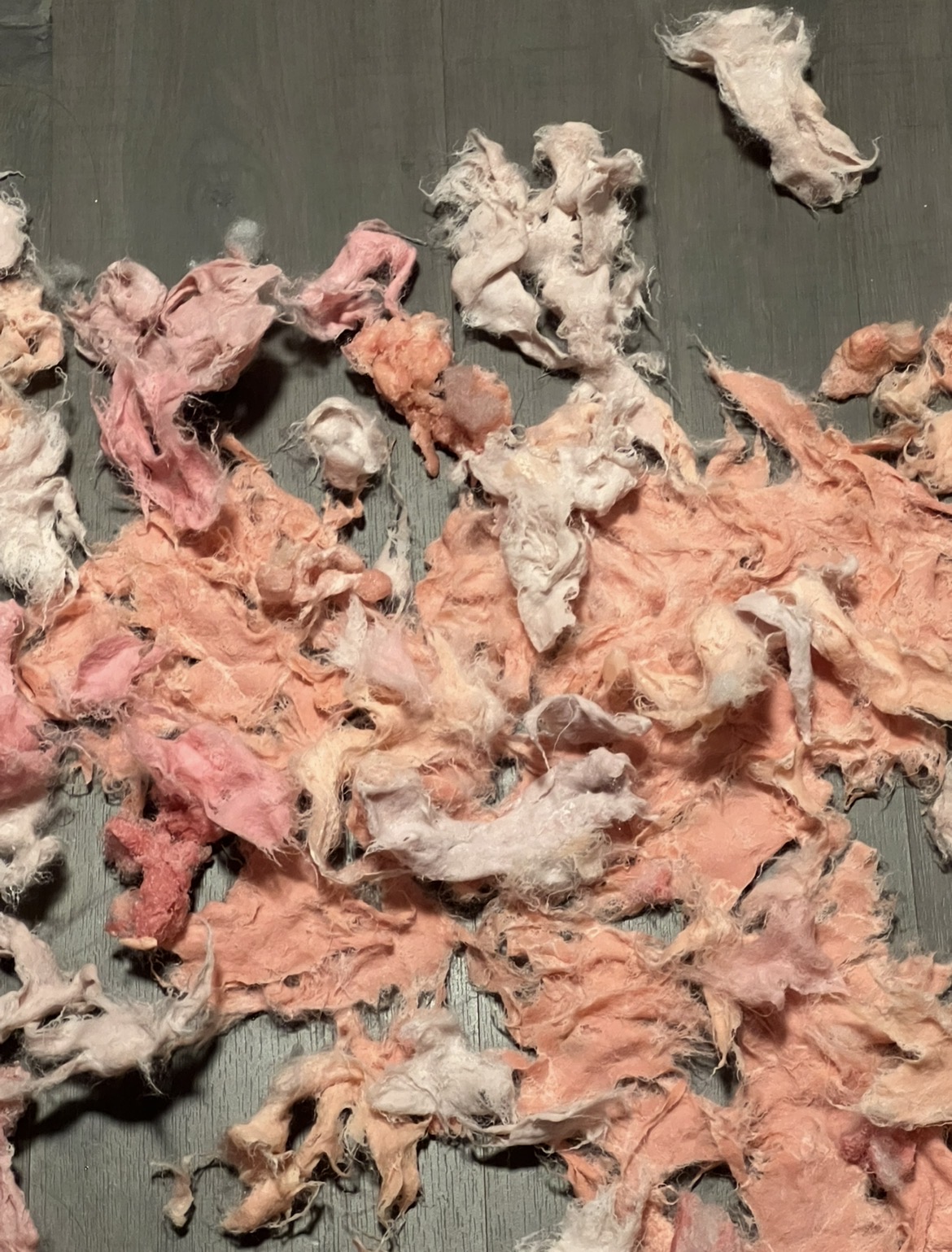 Epidermal Landscape