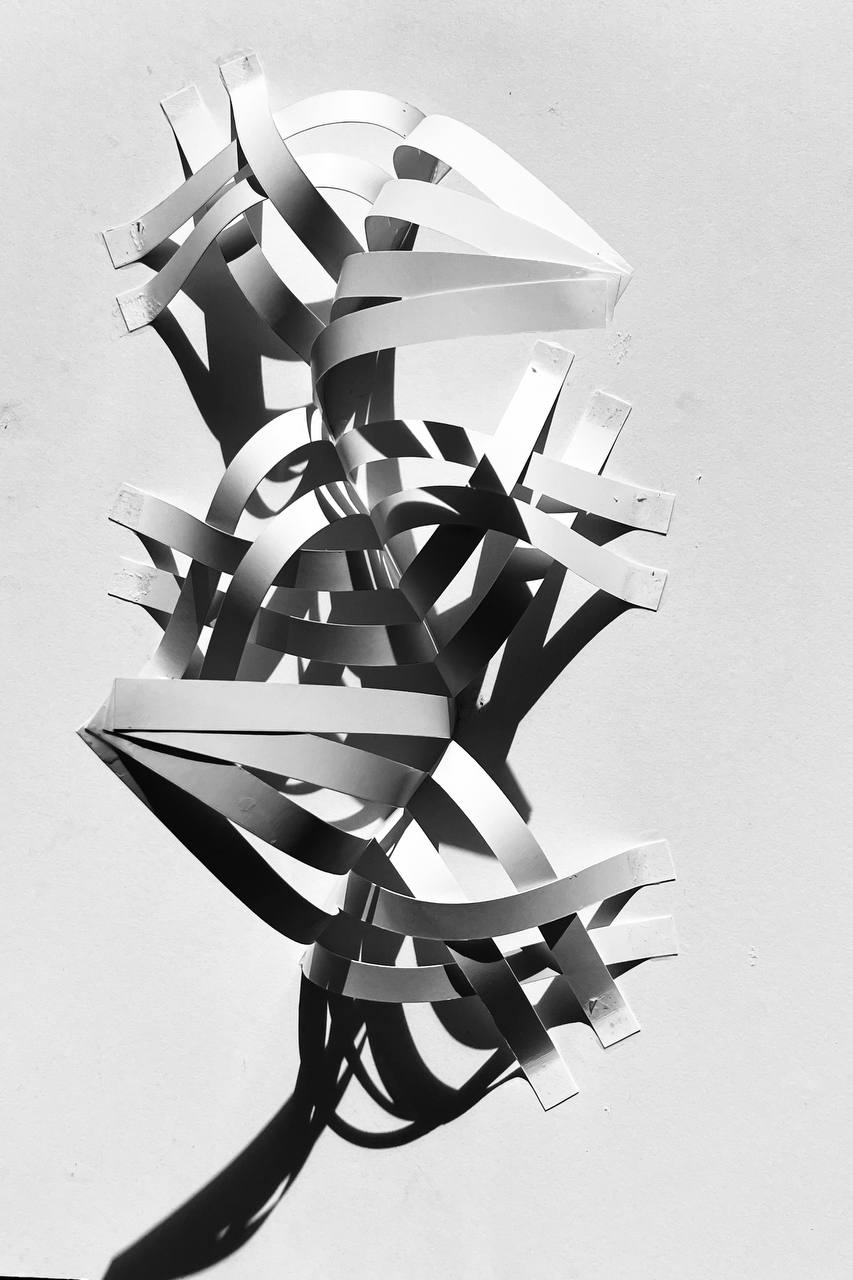 FORM AND SHADOW; COLOR AND LIGHT