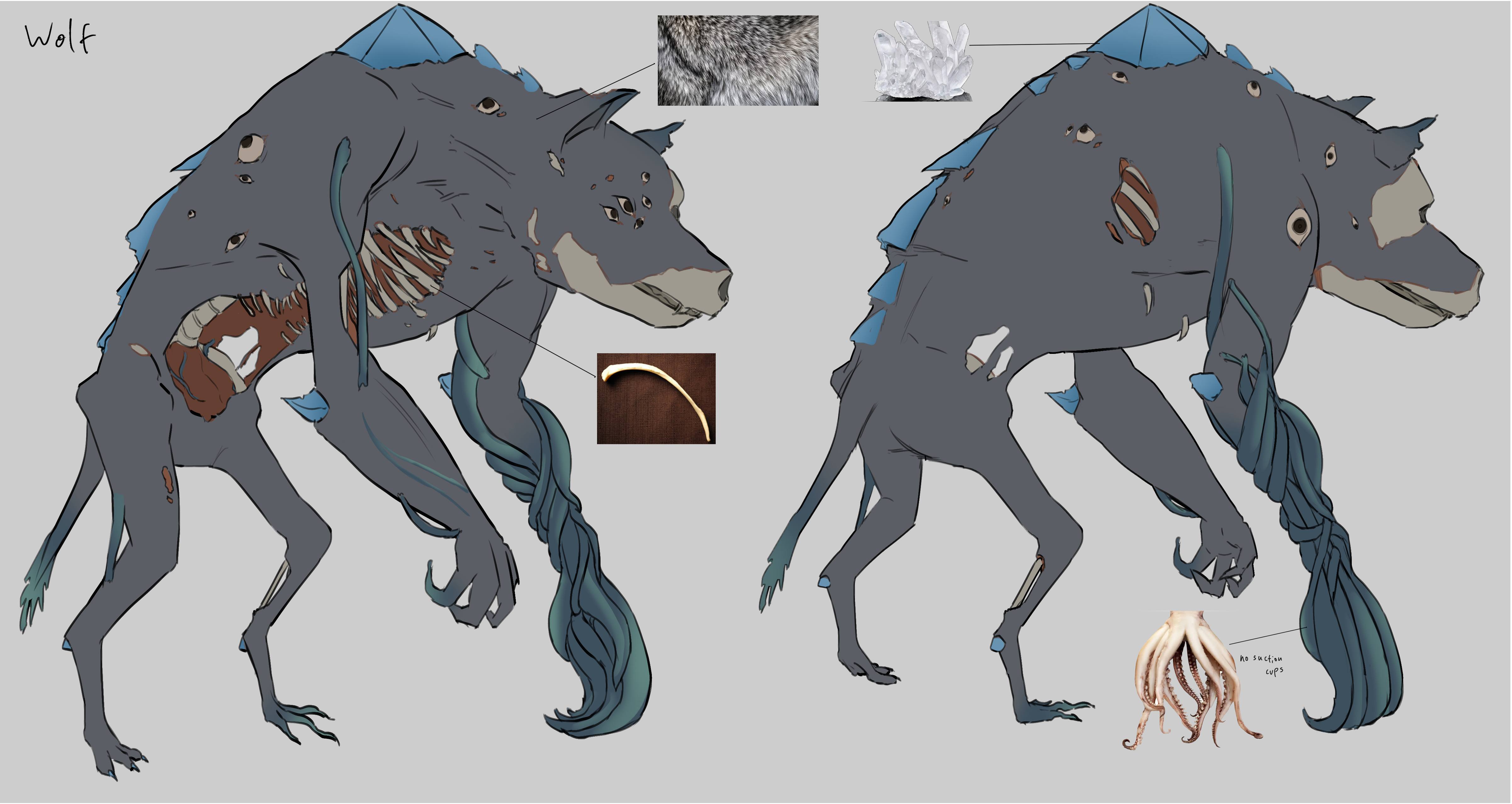 Wolf