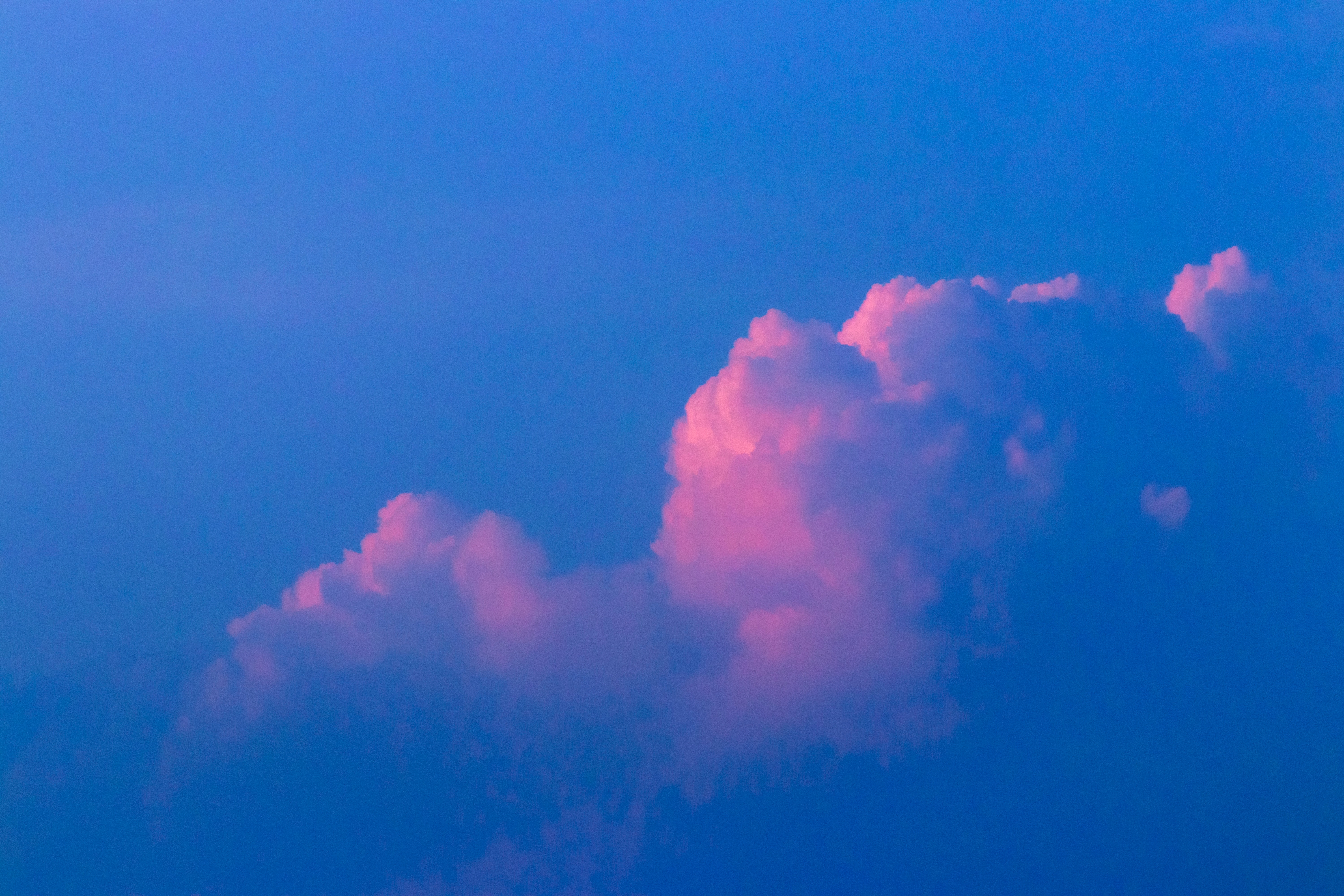 The Materiality of Sex in Foucault and Salamon Moving Beyond the Essentialist/Social Constructionist Divide