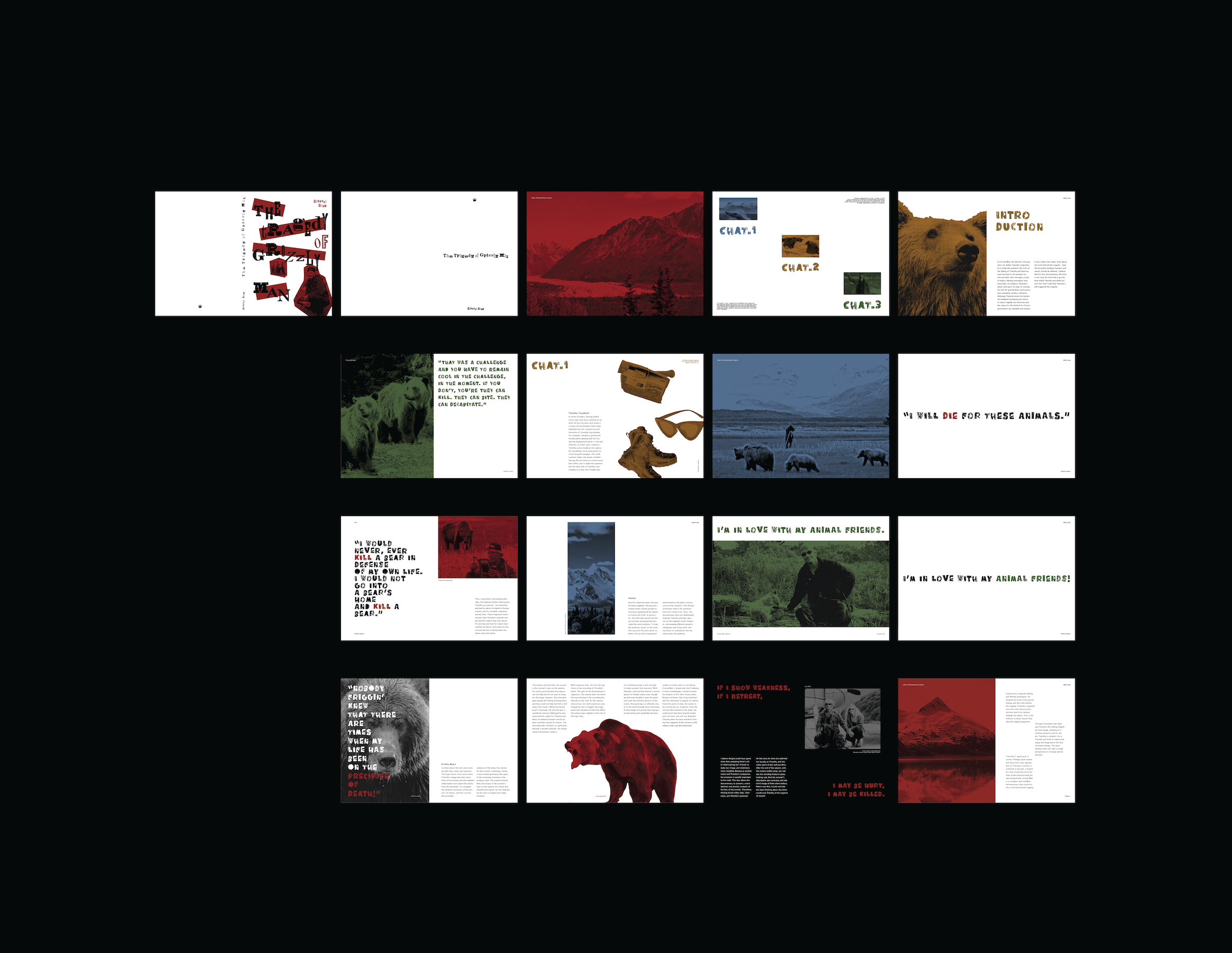 The Tragedy Of Grizzly Man