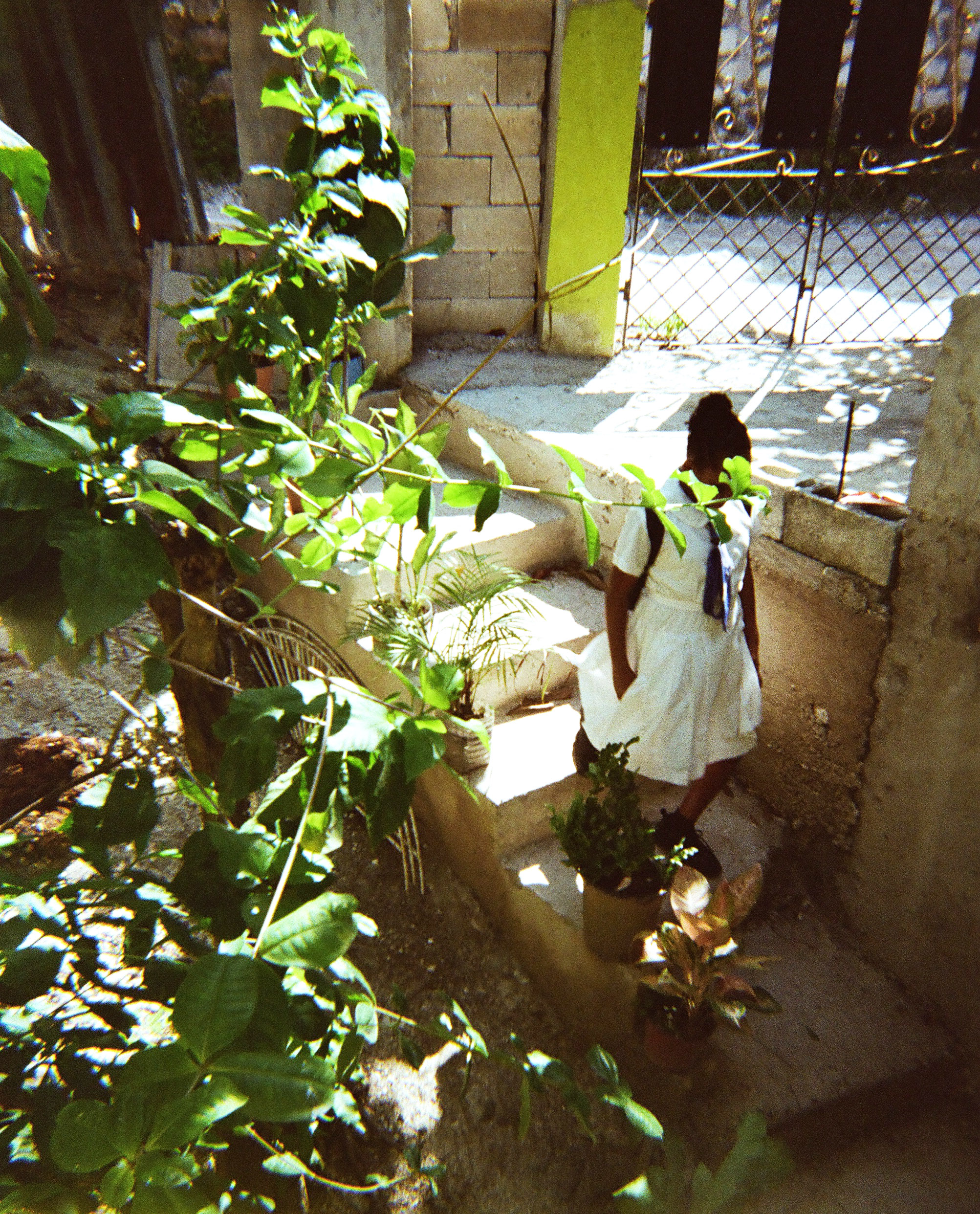 Grief in, Yellow, Black and Green