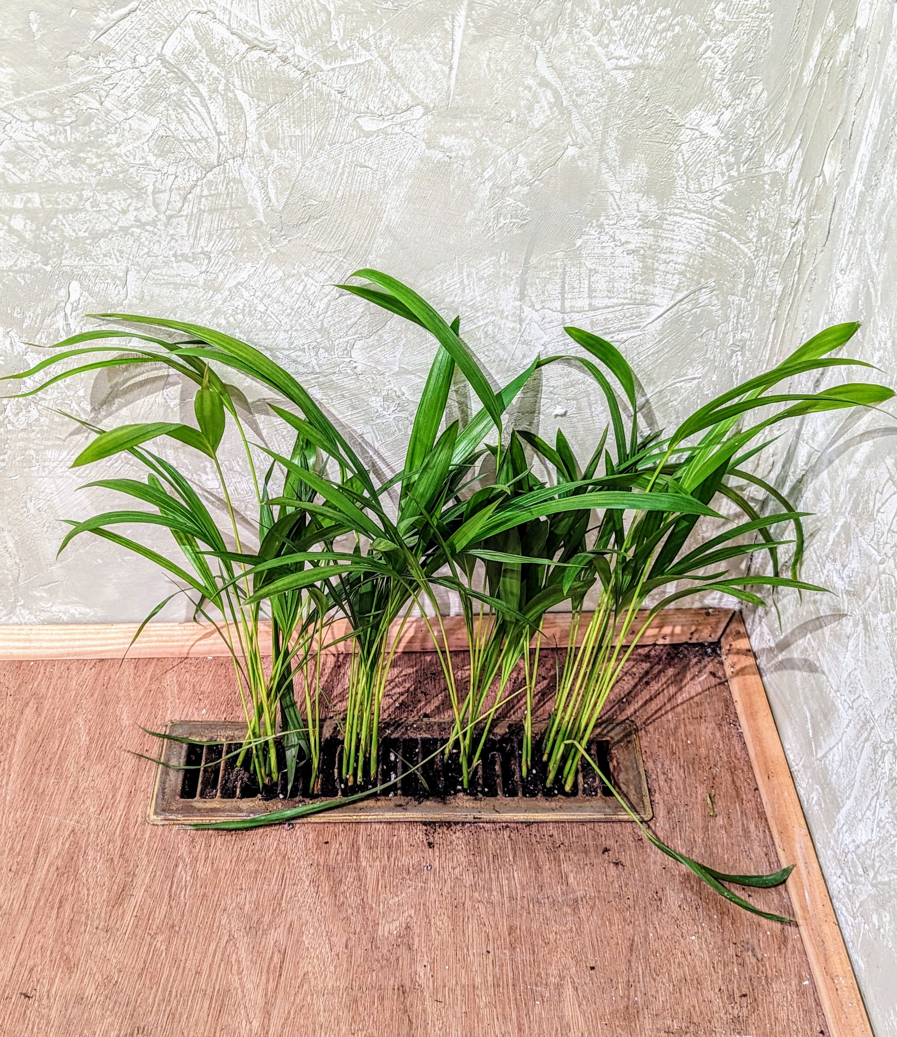 You feel like Home now.