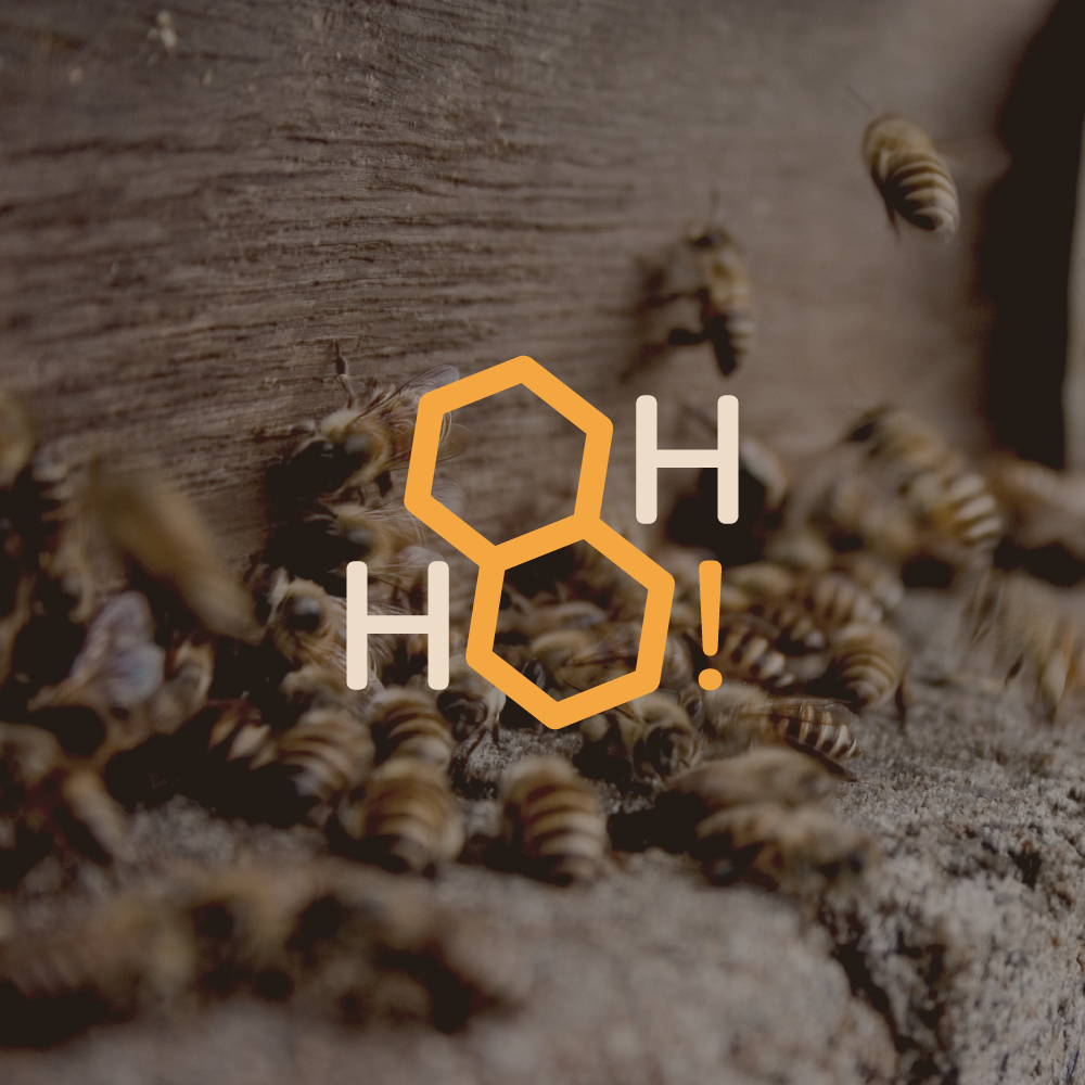 Oh Honey! Pure & Natural Honey