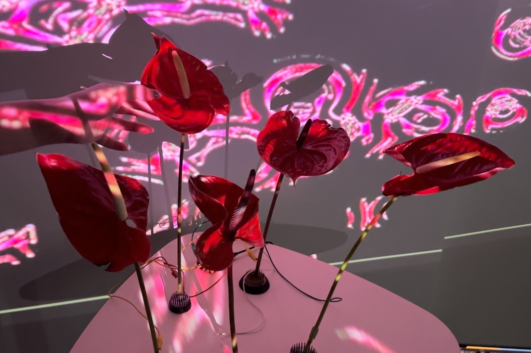Resonant Blooms