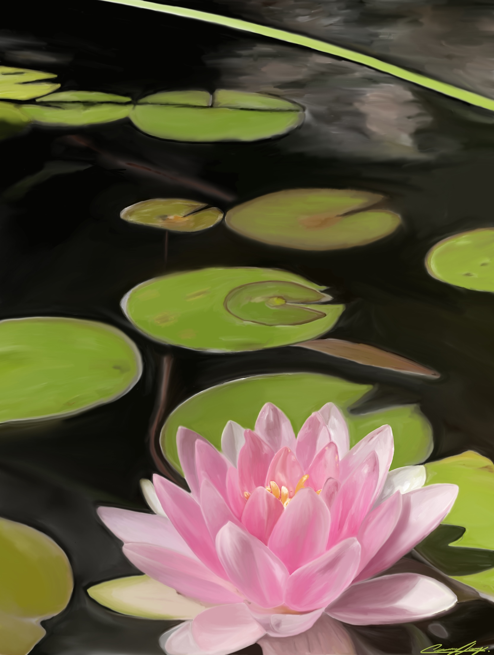 Lotus