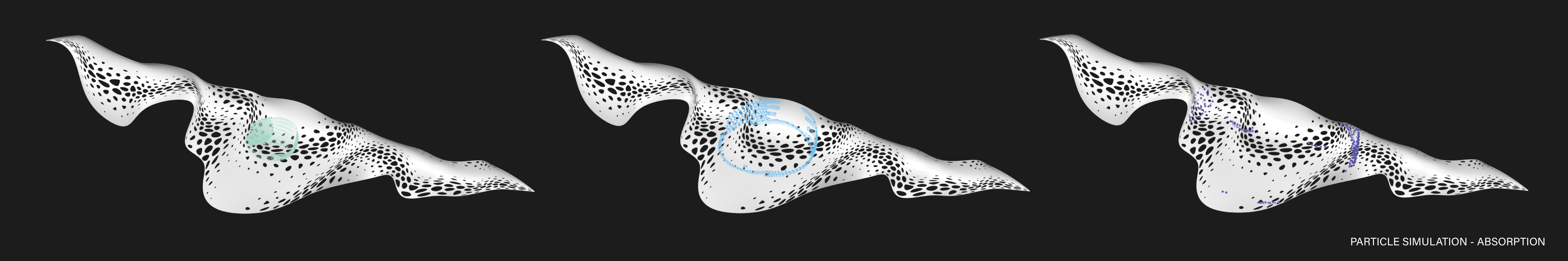 HUSH PARTICLE SIMULATION