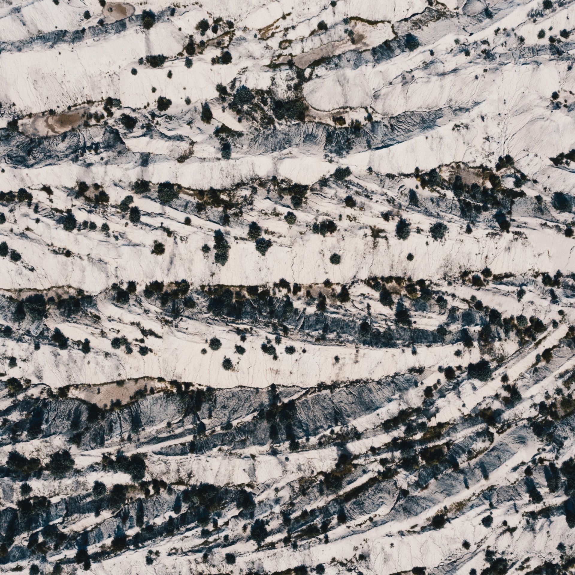 The Refusal of Colonial Certainty in the Writing of Gloria Anzaldúa and Billy-Ray Belcourt