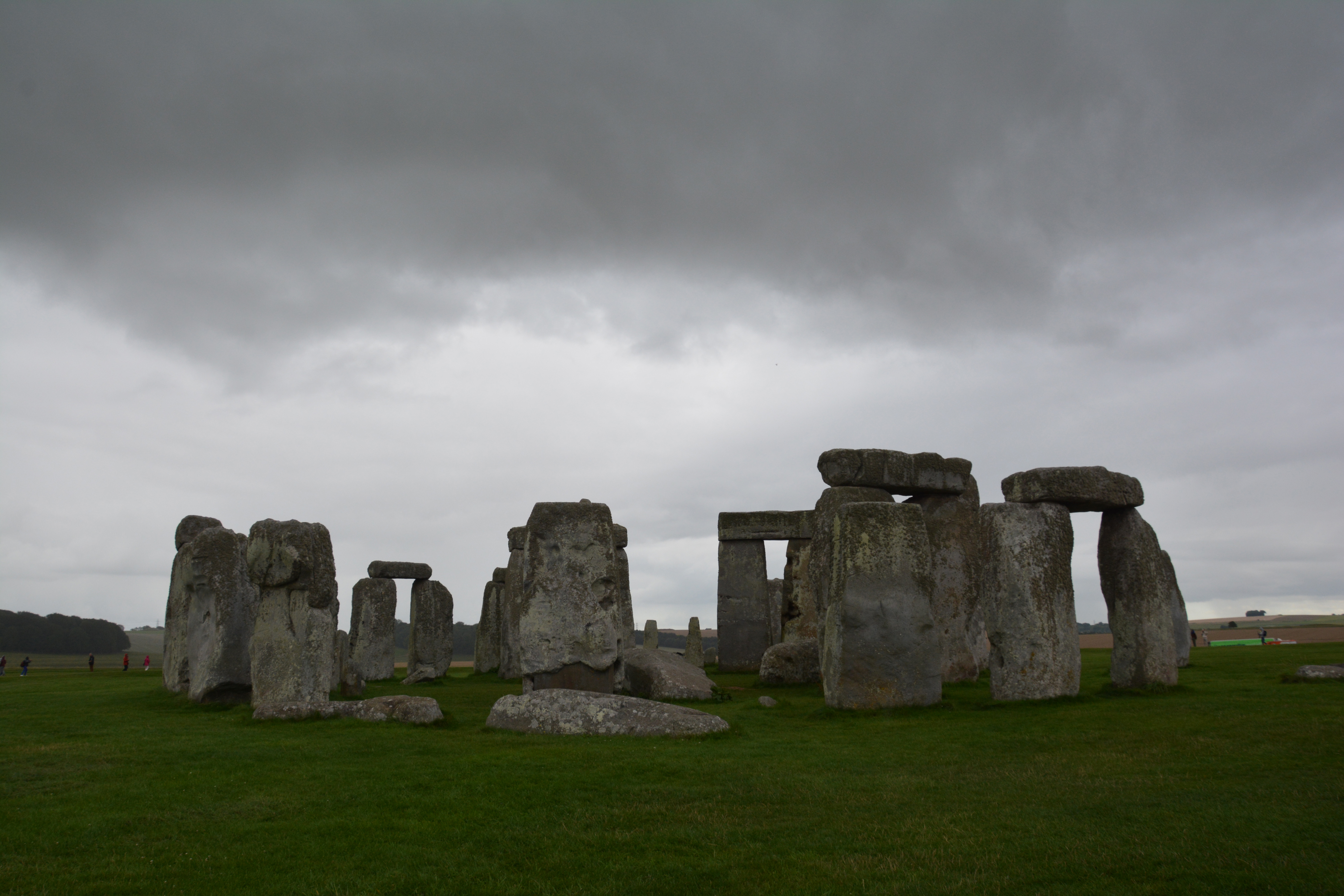 Photography Collection