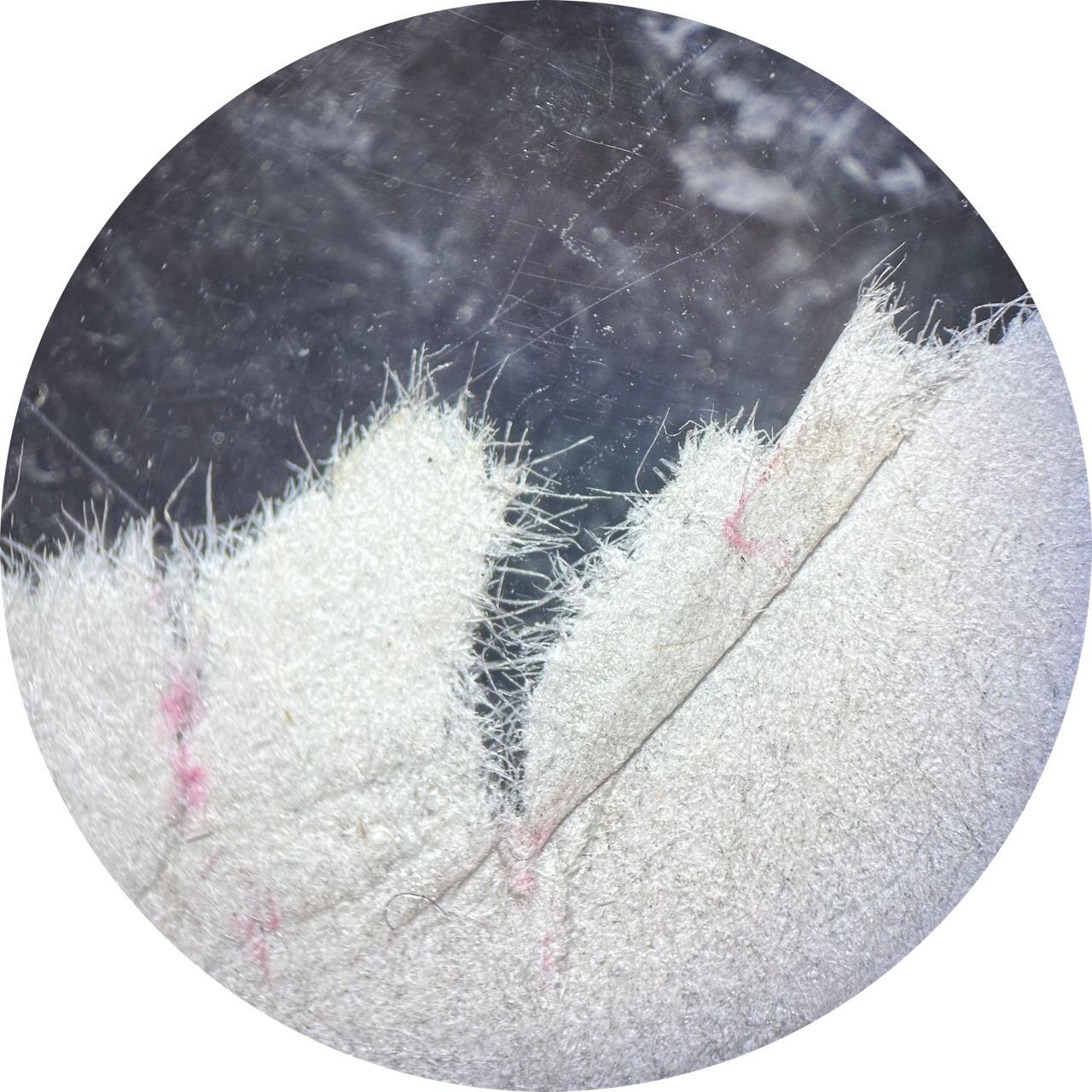 Newsprint at 20x Magnification