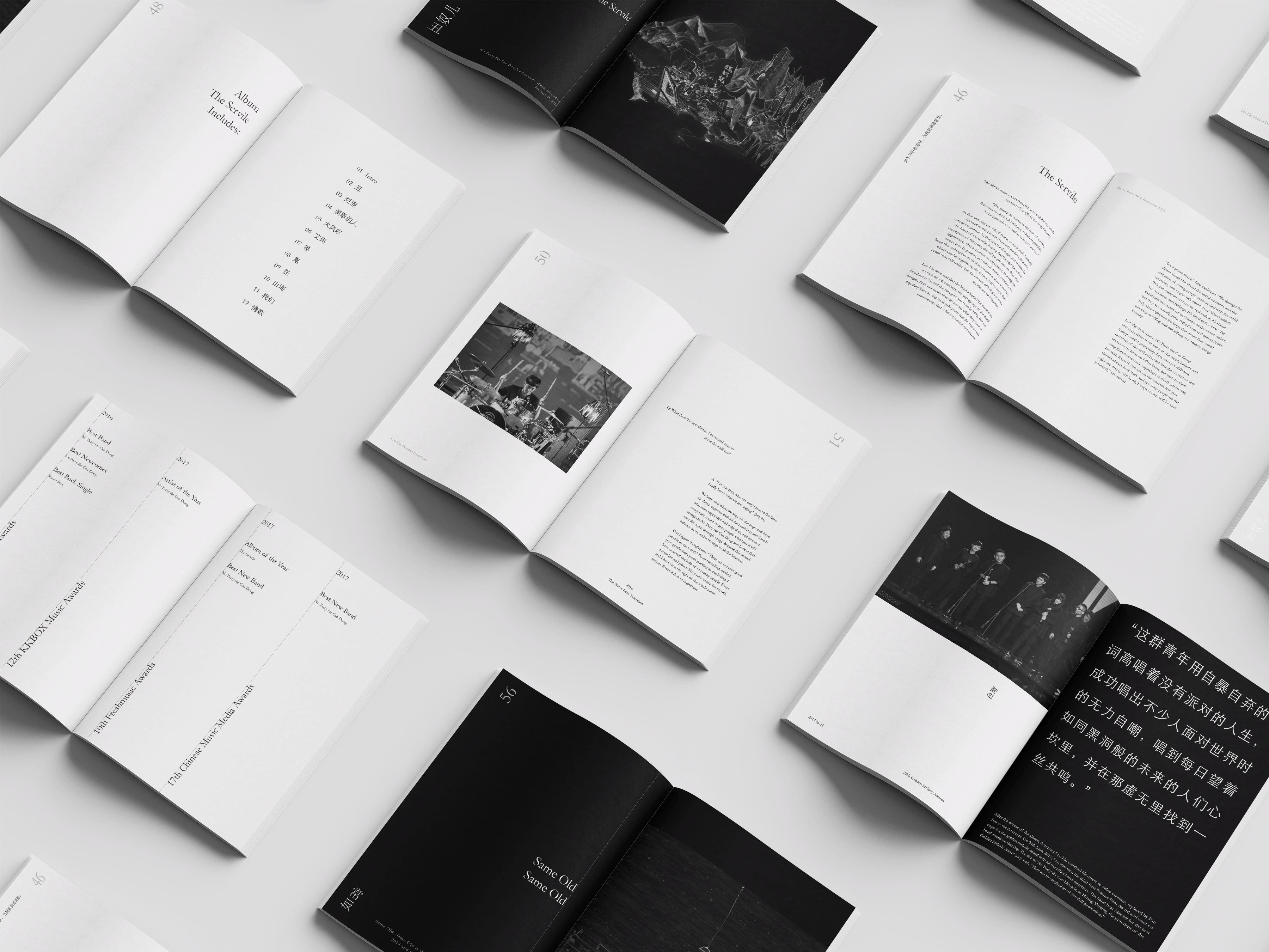 No Party for Cao Dong Memoir