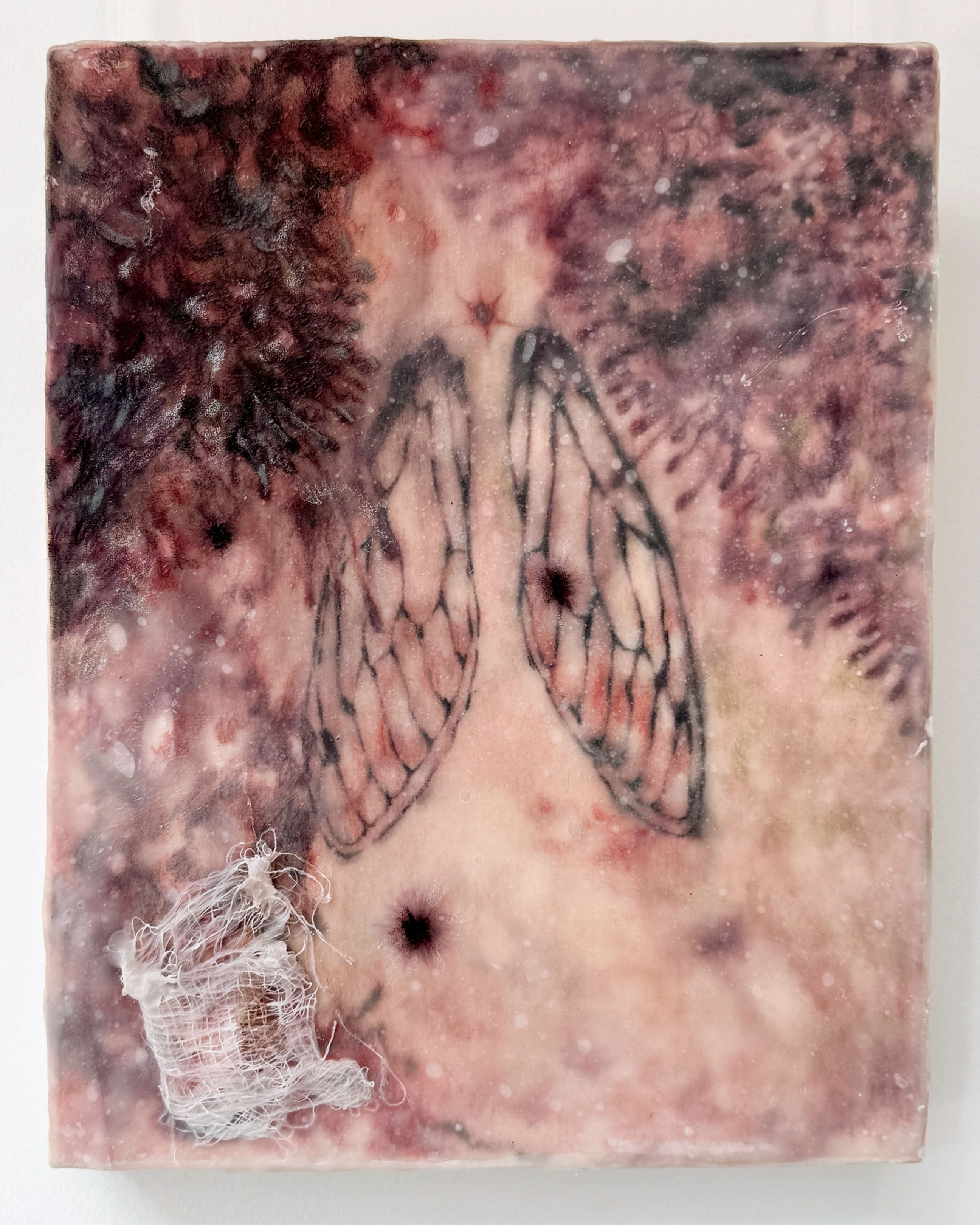 Desire Line 1: Wings