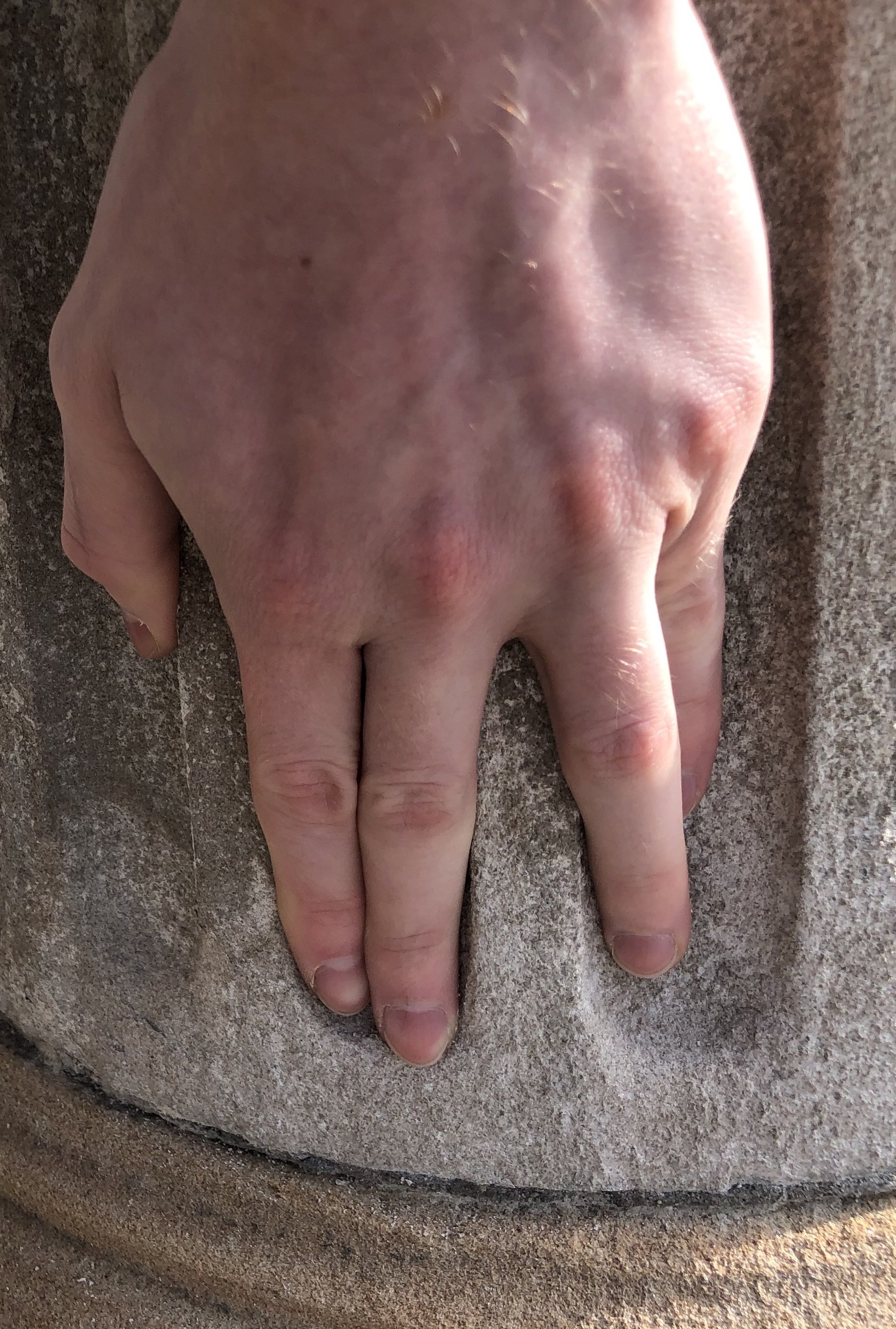 Movement Studies in Angular Space