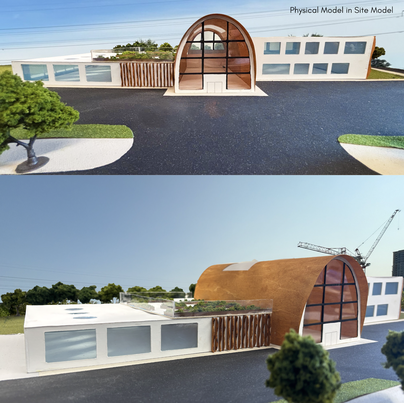 NaturalSync Wellness