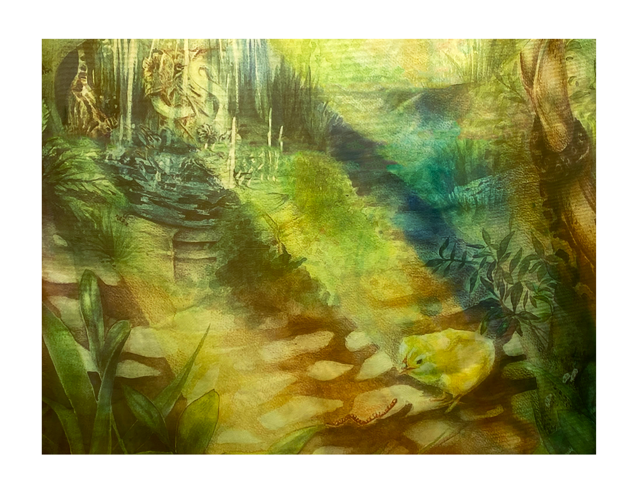 Deception of Ignorance