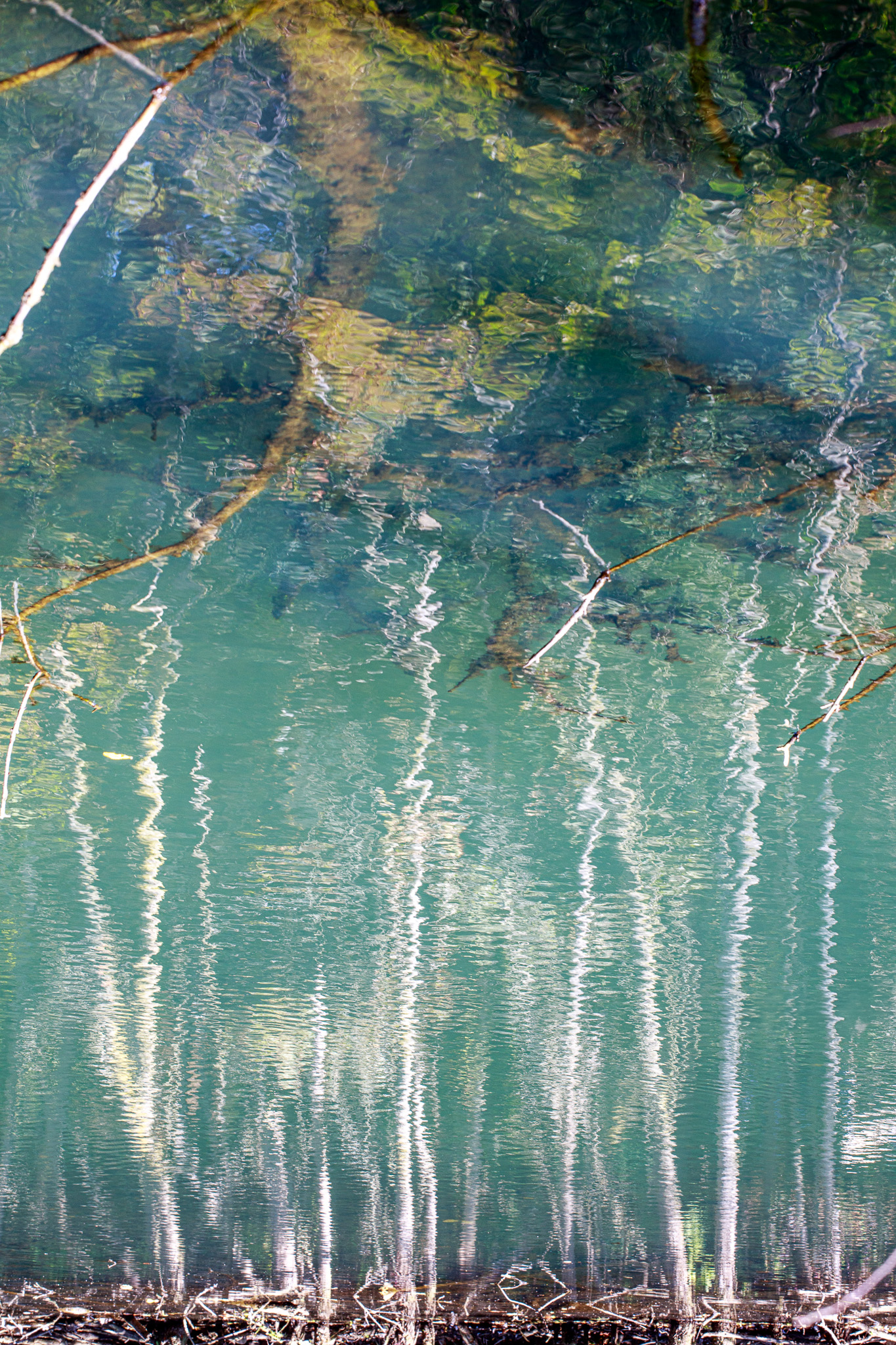 stand in water (iii)