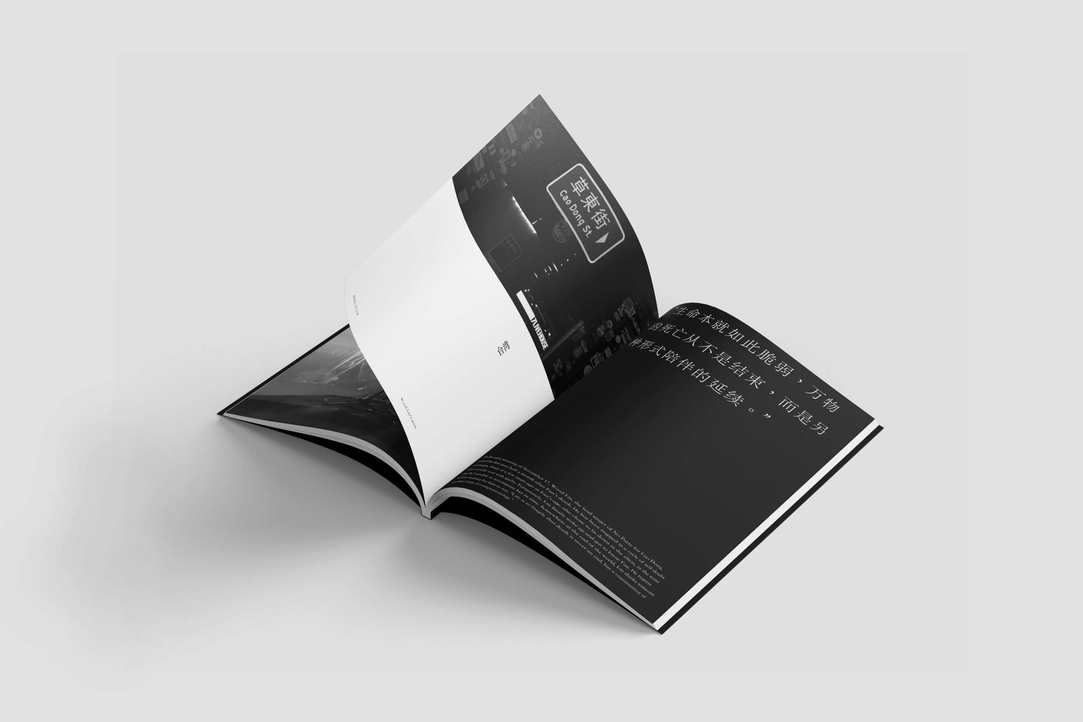 No Party for Cao Dong Memoir