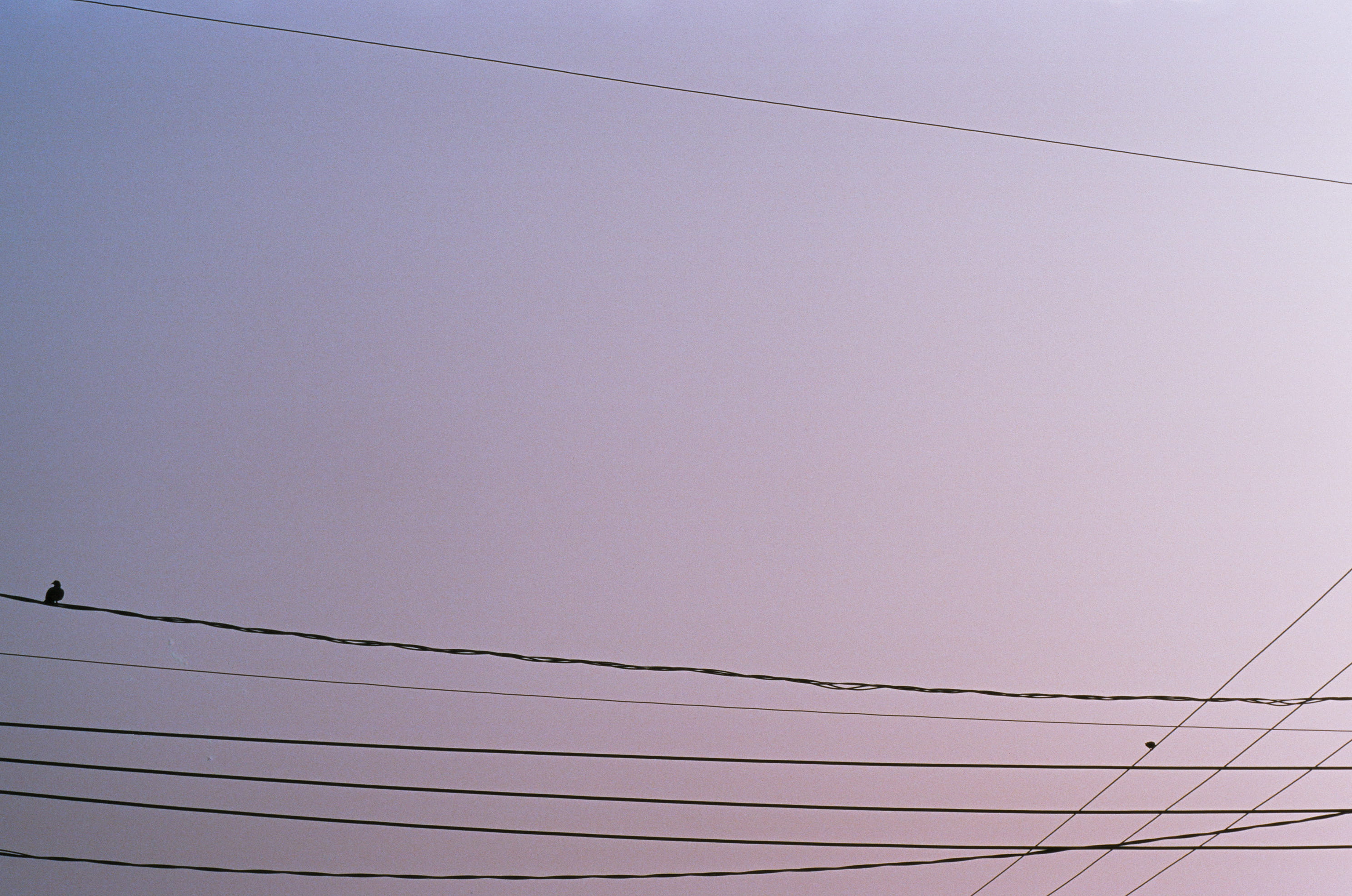Analogue Photos