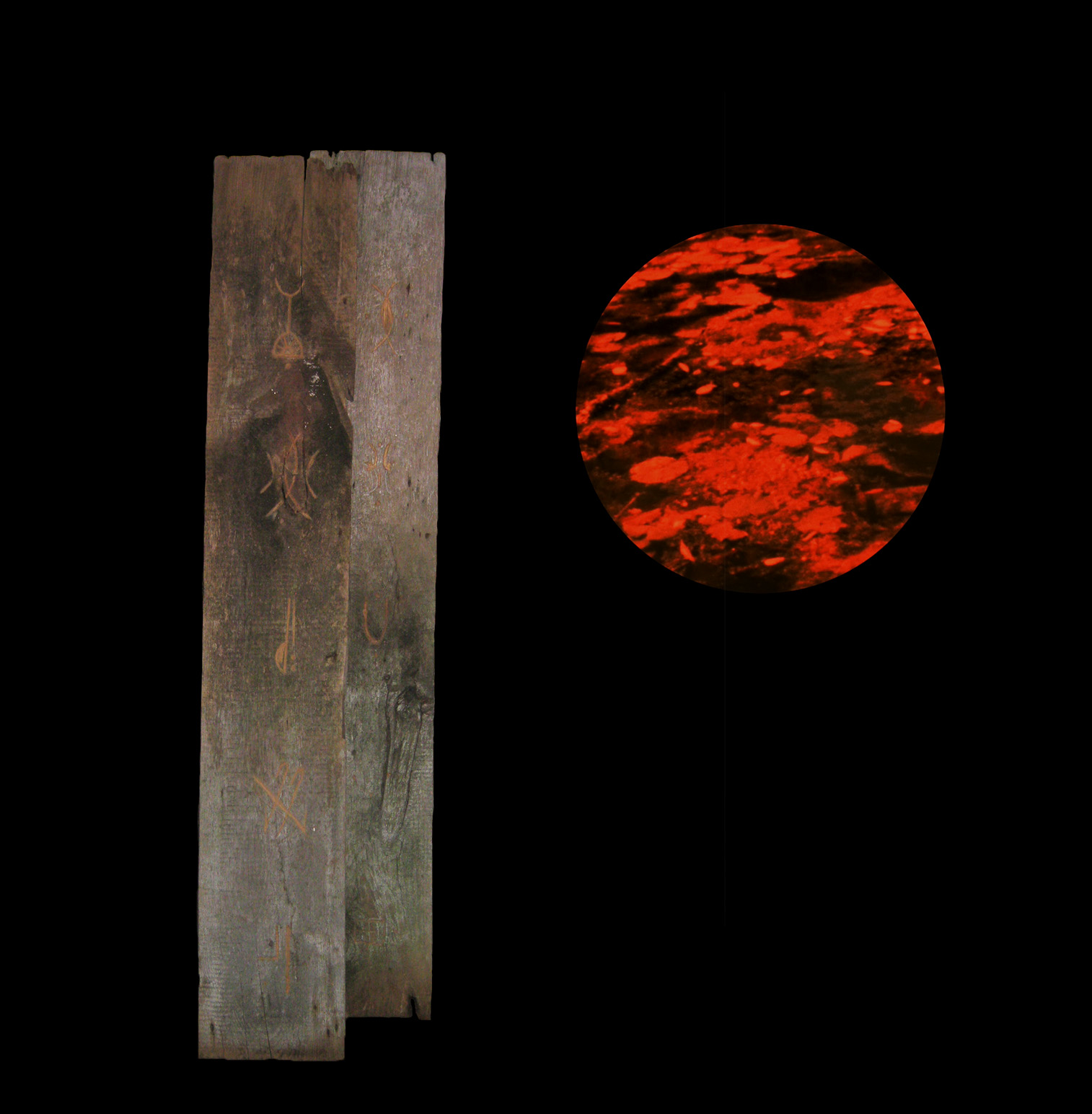 Why is water so heavy? vol. ii. What came ashore