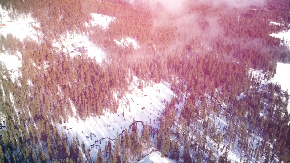 An Ode to The Mountains