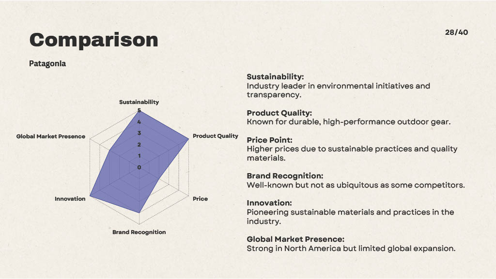 Patagonia Design Audit